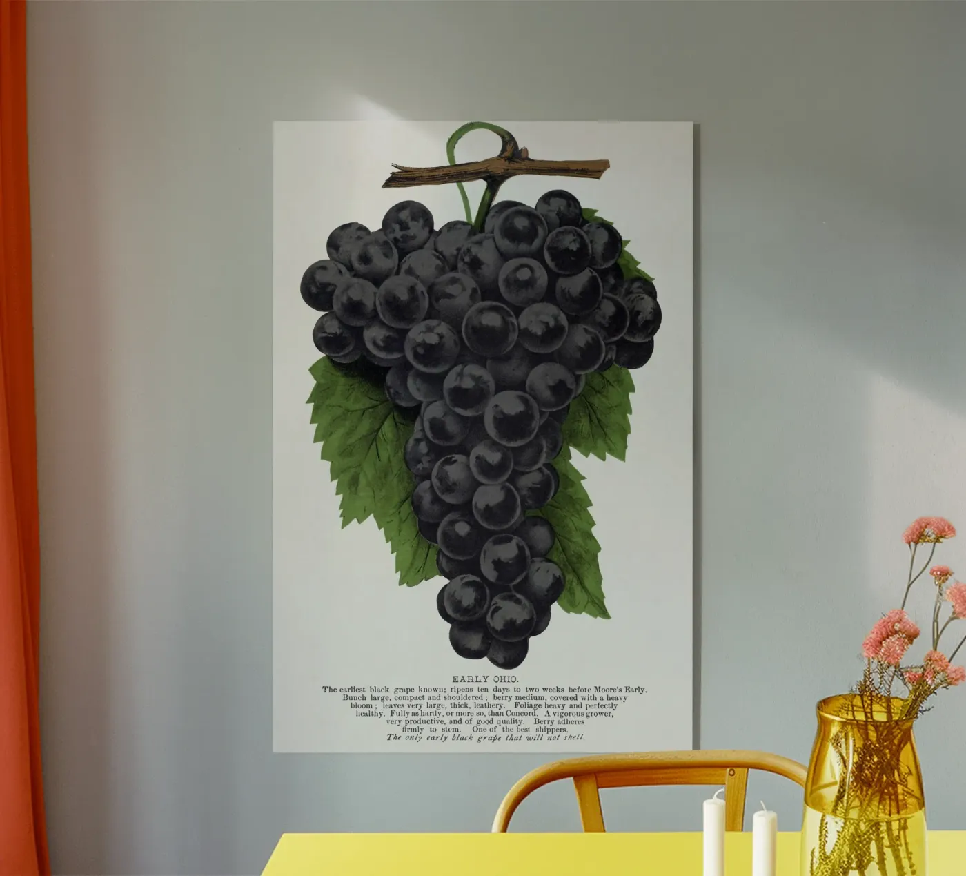 Early Ohio grape acrylic glass by vintageshop