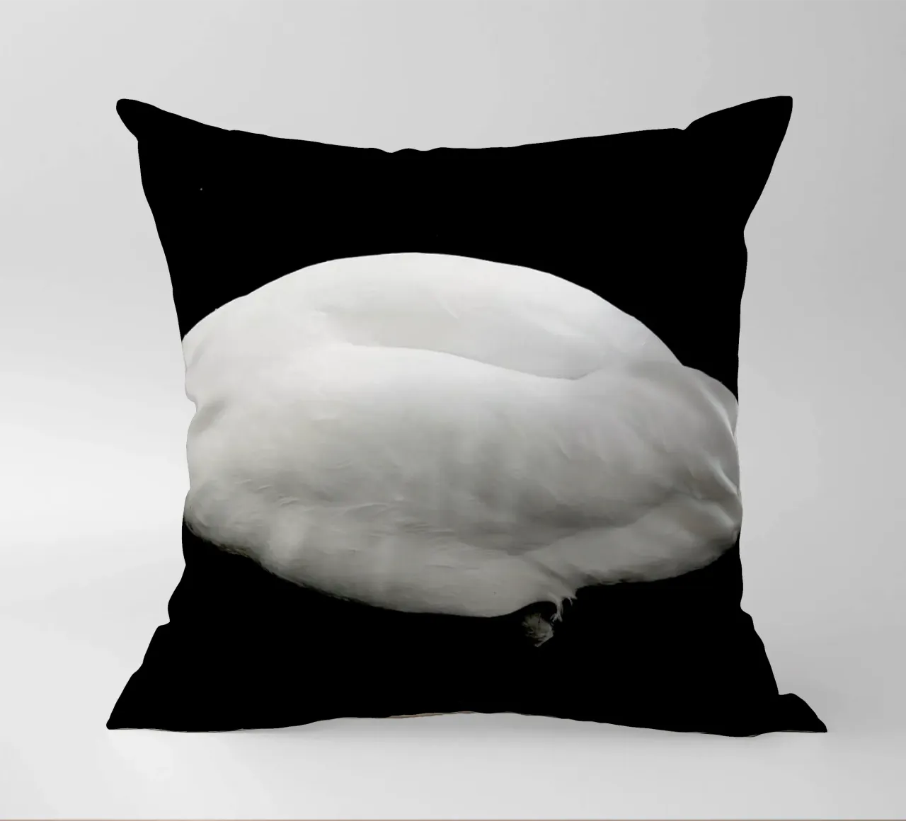 Like a Swan cuscino da Anja Hebrank Photography