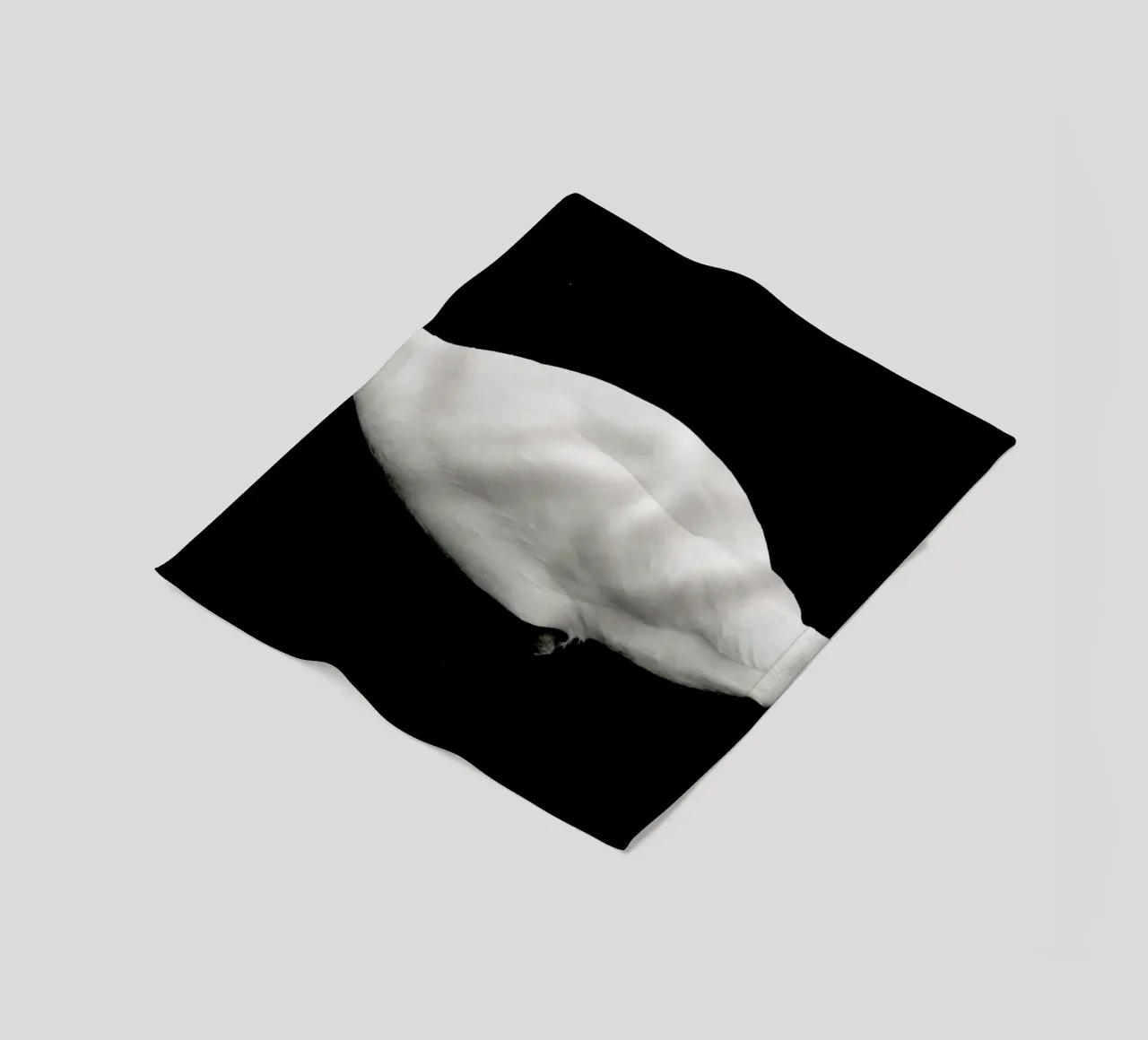 Like a Swan coperta in pile da Anja Hebrank Photography