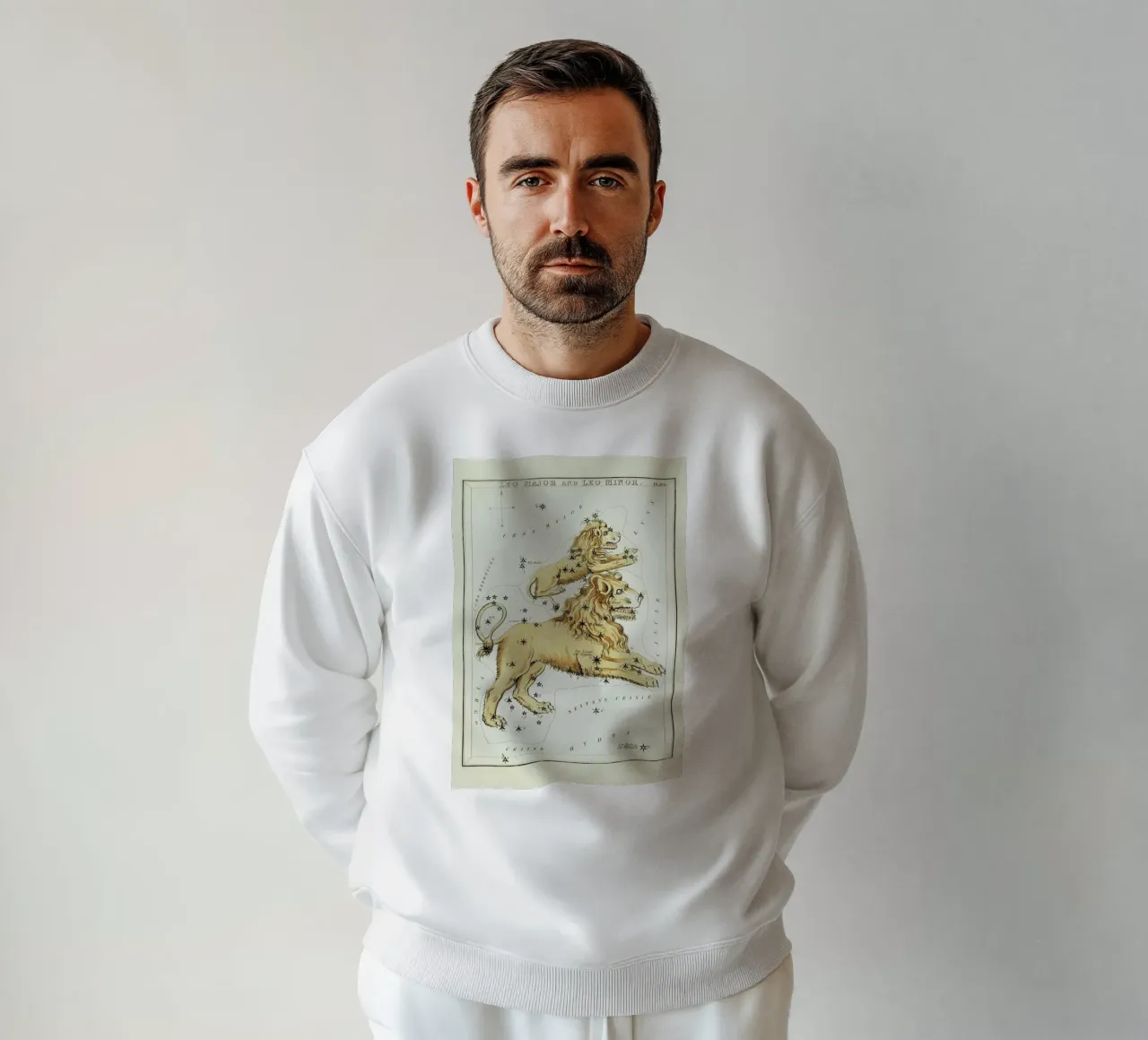 Leo Major and Leo Minor felpa da Vintage by JUNIQE