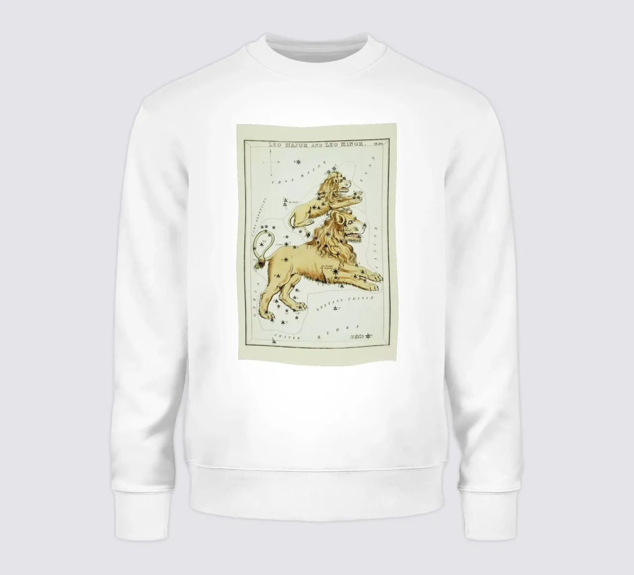 Leo Major and Leo Minor sweatshirt by Vintage by JUNIQE