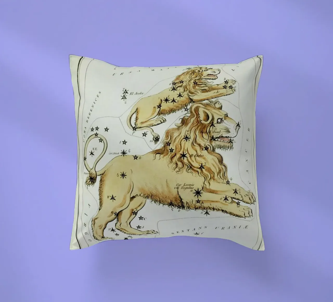 Leo Major and Leo Minor cuscino da Vintage by JUNIQE