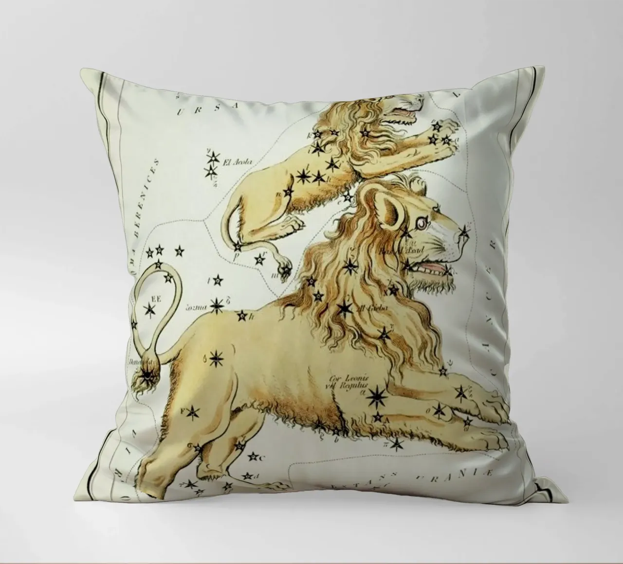 Leo Major and Leo Minor cuscino da Vintage by JUNIQE