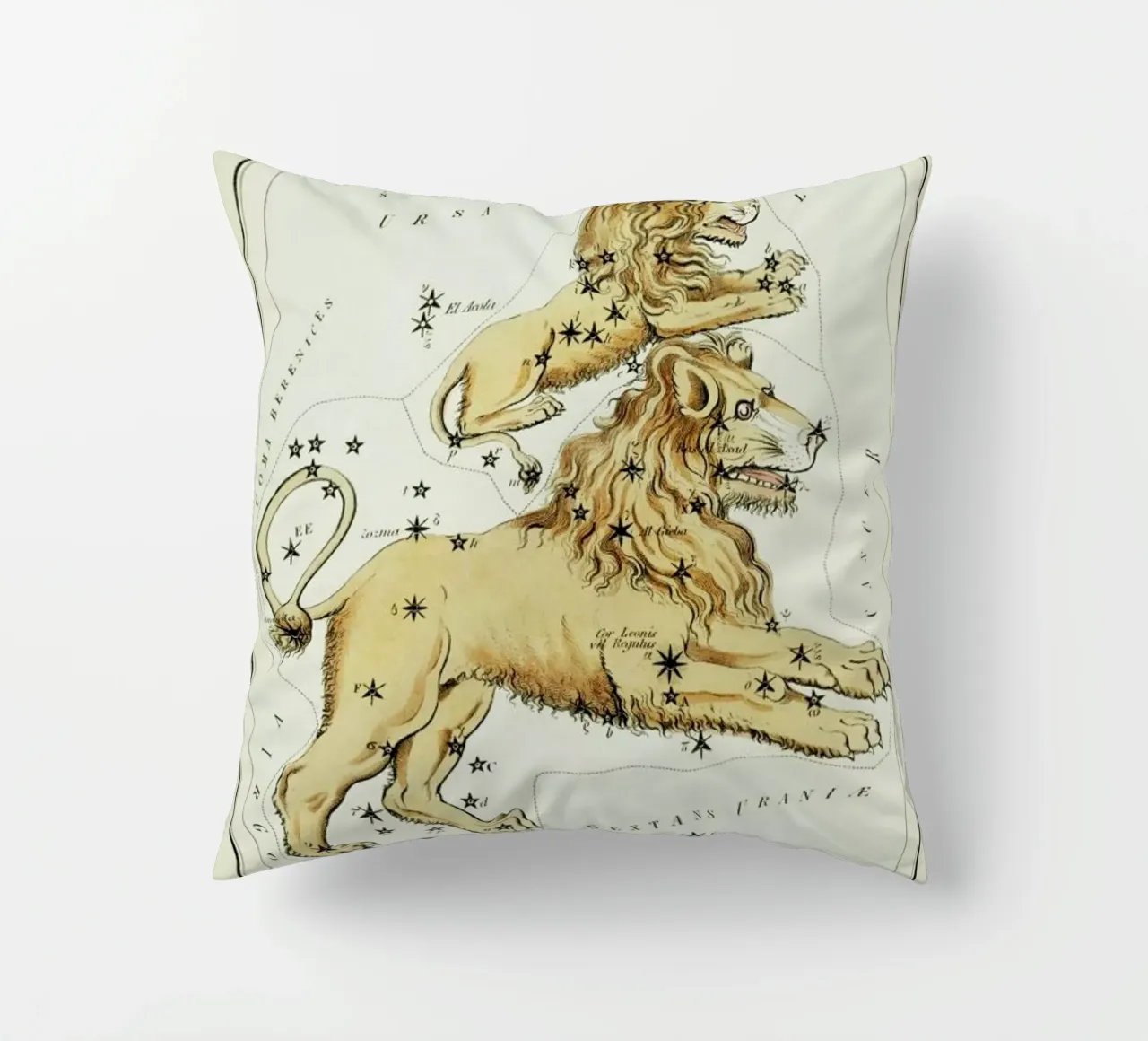 Leo Major and Leo Minor cuscino da Vintage by JUNIQE