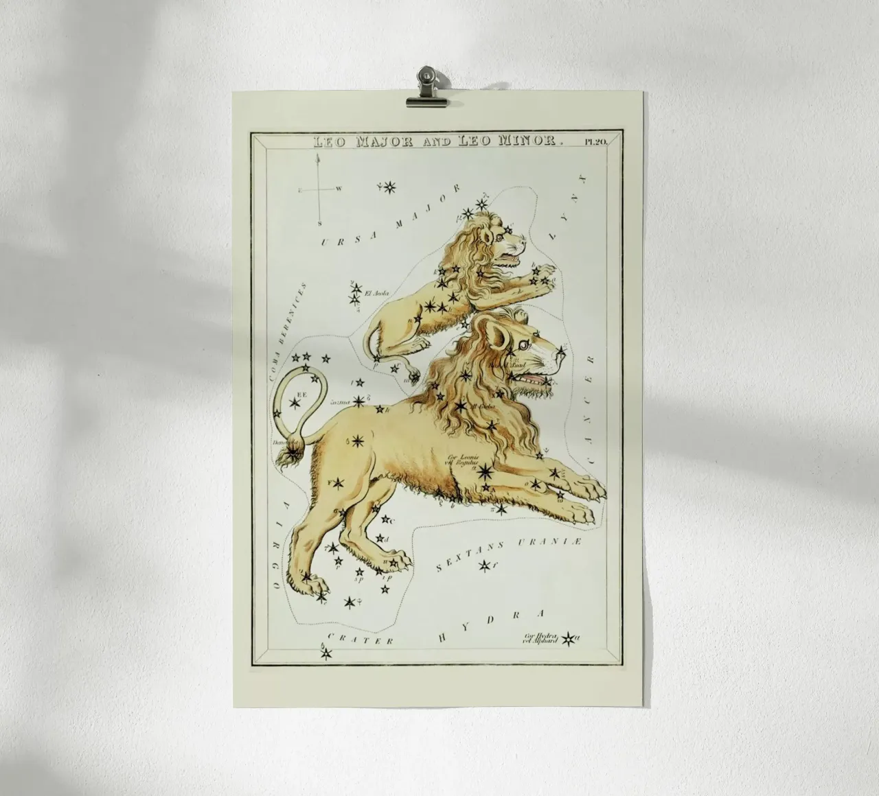 Leo Major and Leo Minor carta hahnemühle da Vintage by JUNIQE