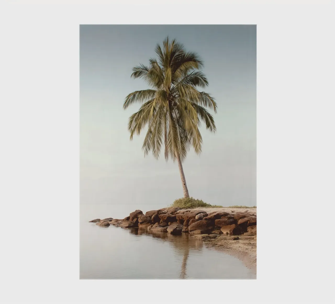 Palm Tree at Sunset notebook by Indigo Tides Art
