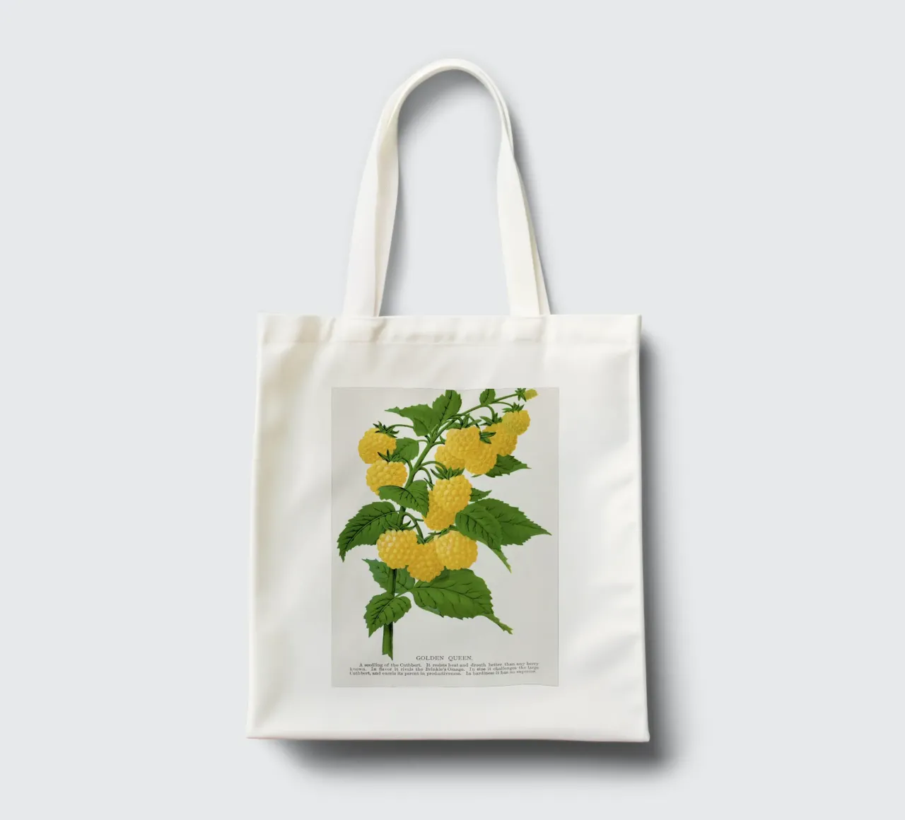 Golden queen raspberry lithograptraduh borsa in juta da vintageshop