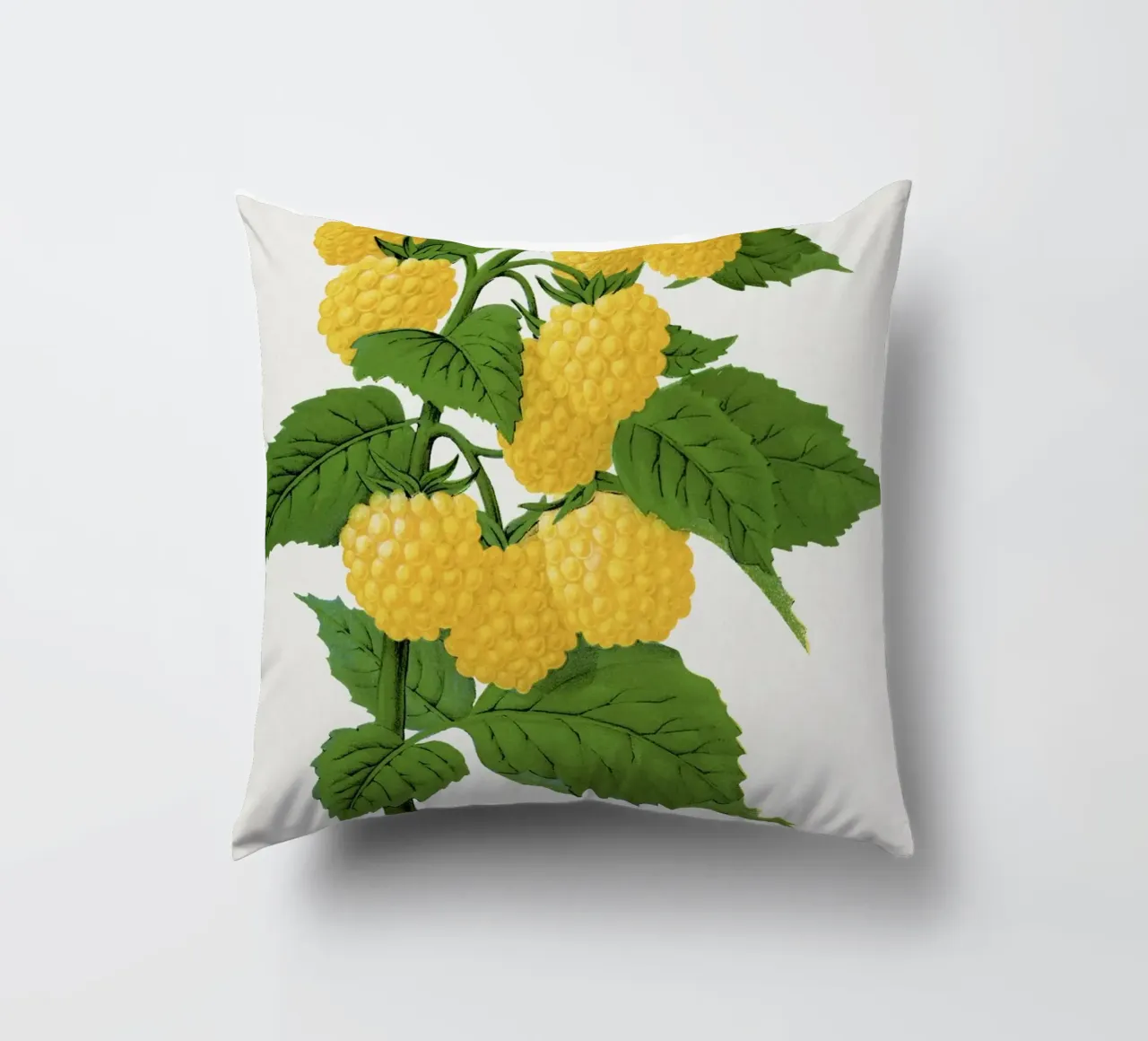 Golden queen raspberry lithograptraduh cuscino da vintageshop