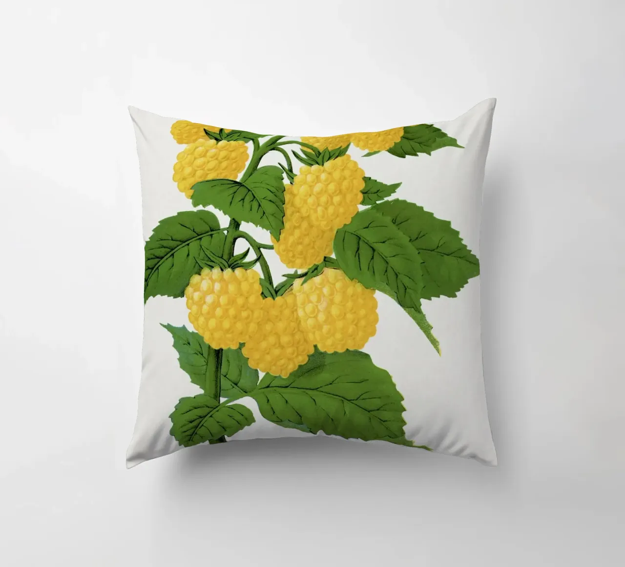 Golden queen raspberry lithograptraduh cuscino da vintageshop