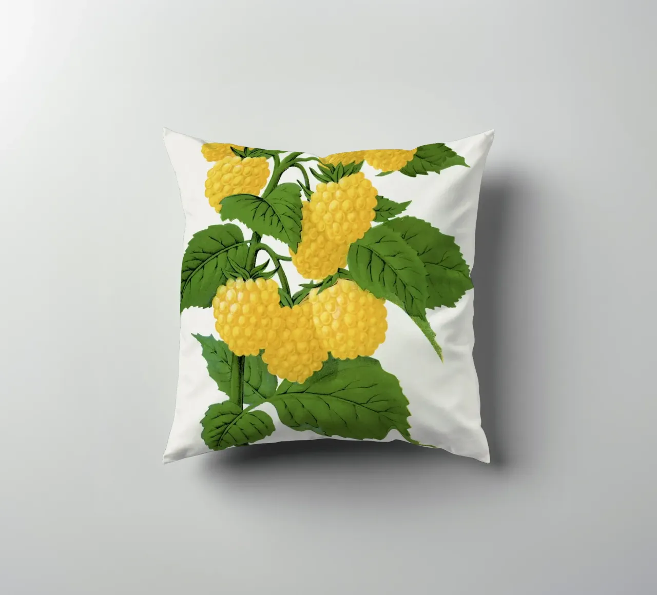 Golden queen raspberry lithograptraduh cuscino da vintageshop