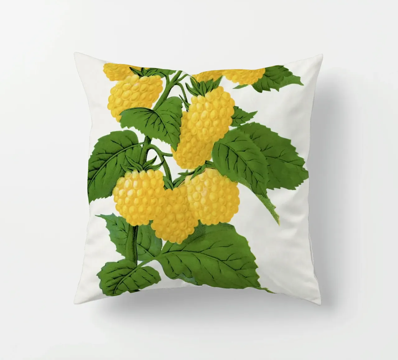 Golden queen raspberry lithograptraduh cuscino da vintageshop