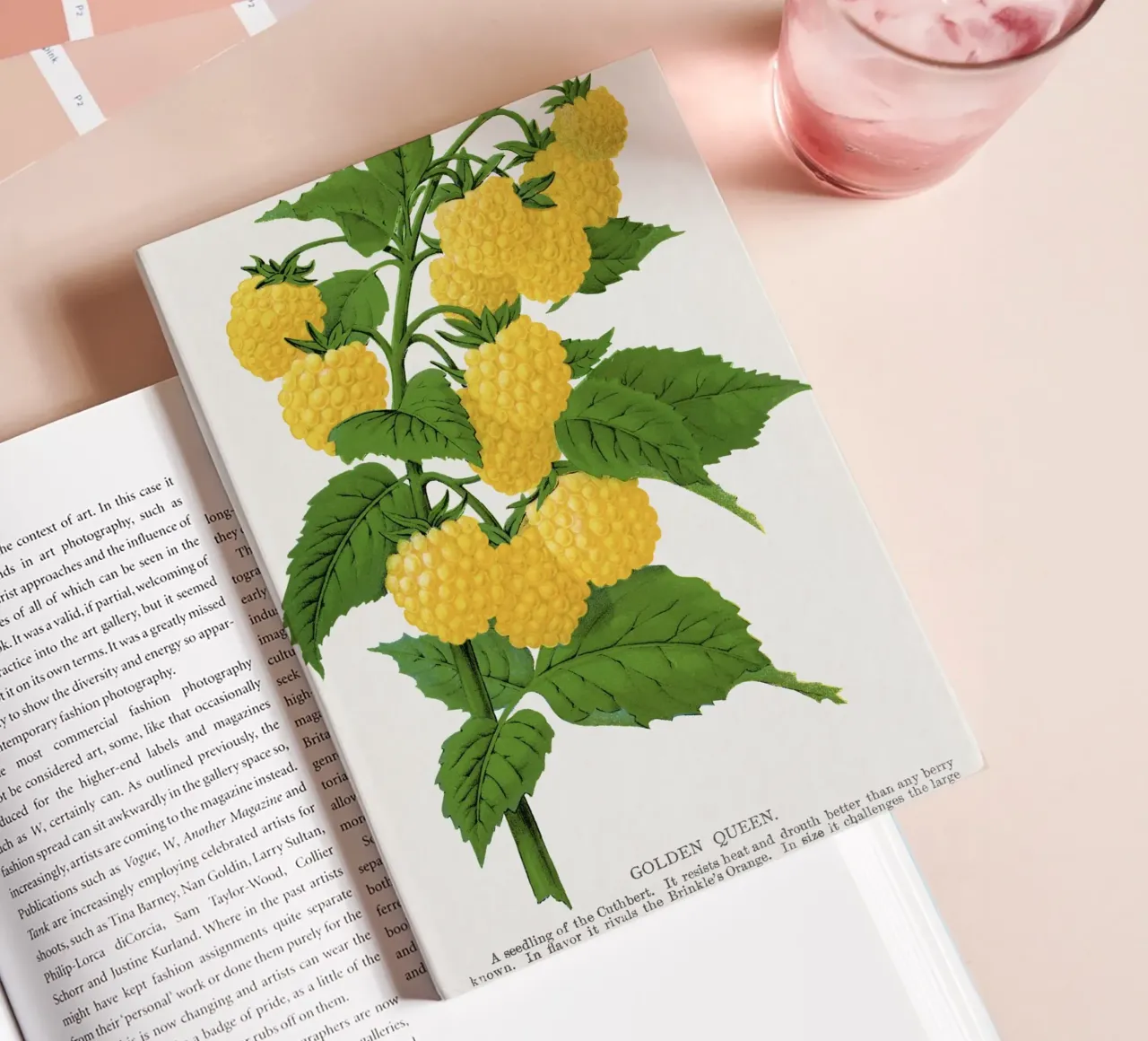 Golden queen raspberry lithograptraduh notebook by vintageshop