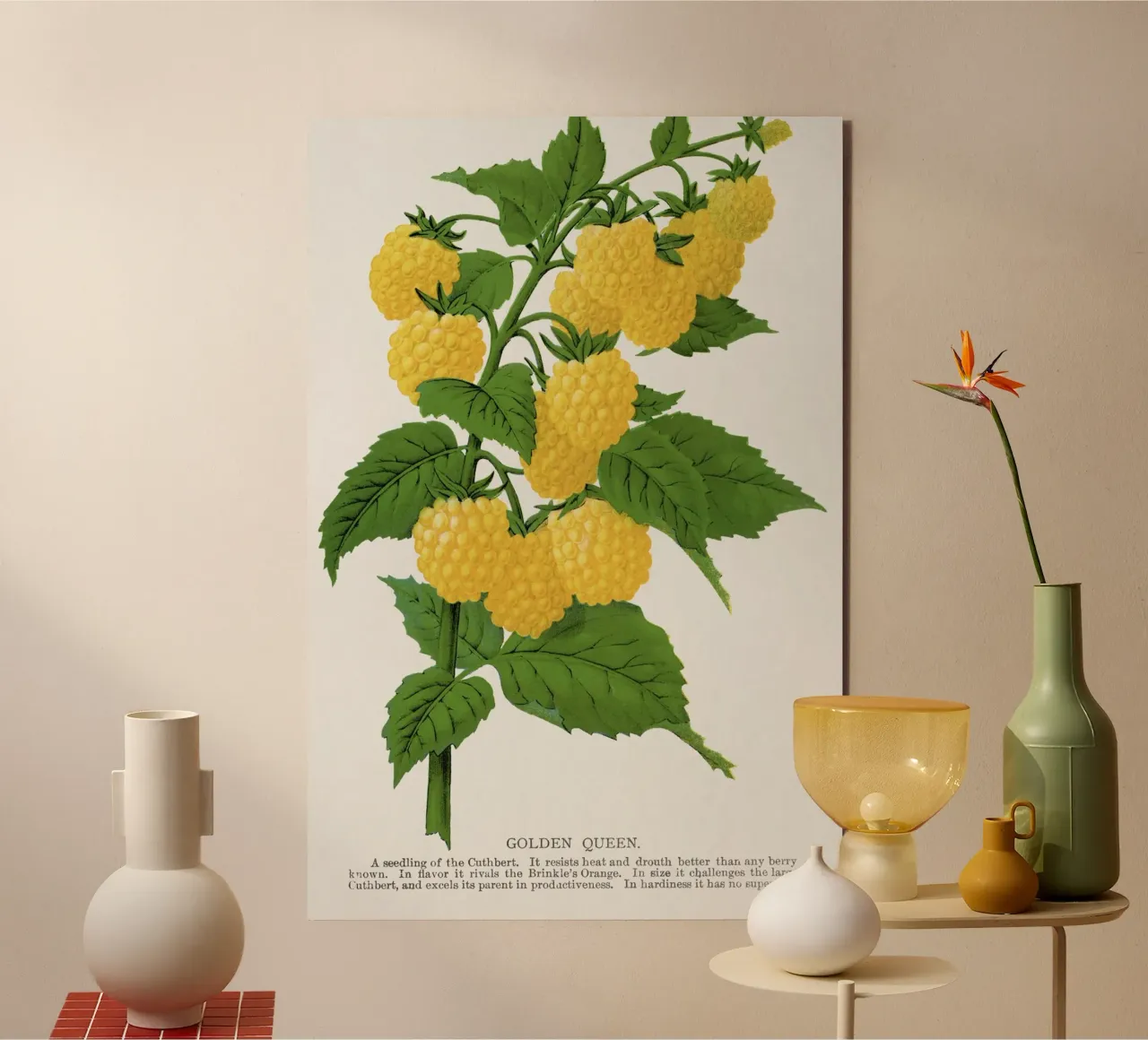 Golden queen raspberry lithograptraduh alluminio dibond da vintageshop
