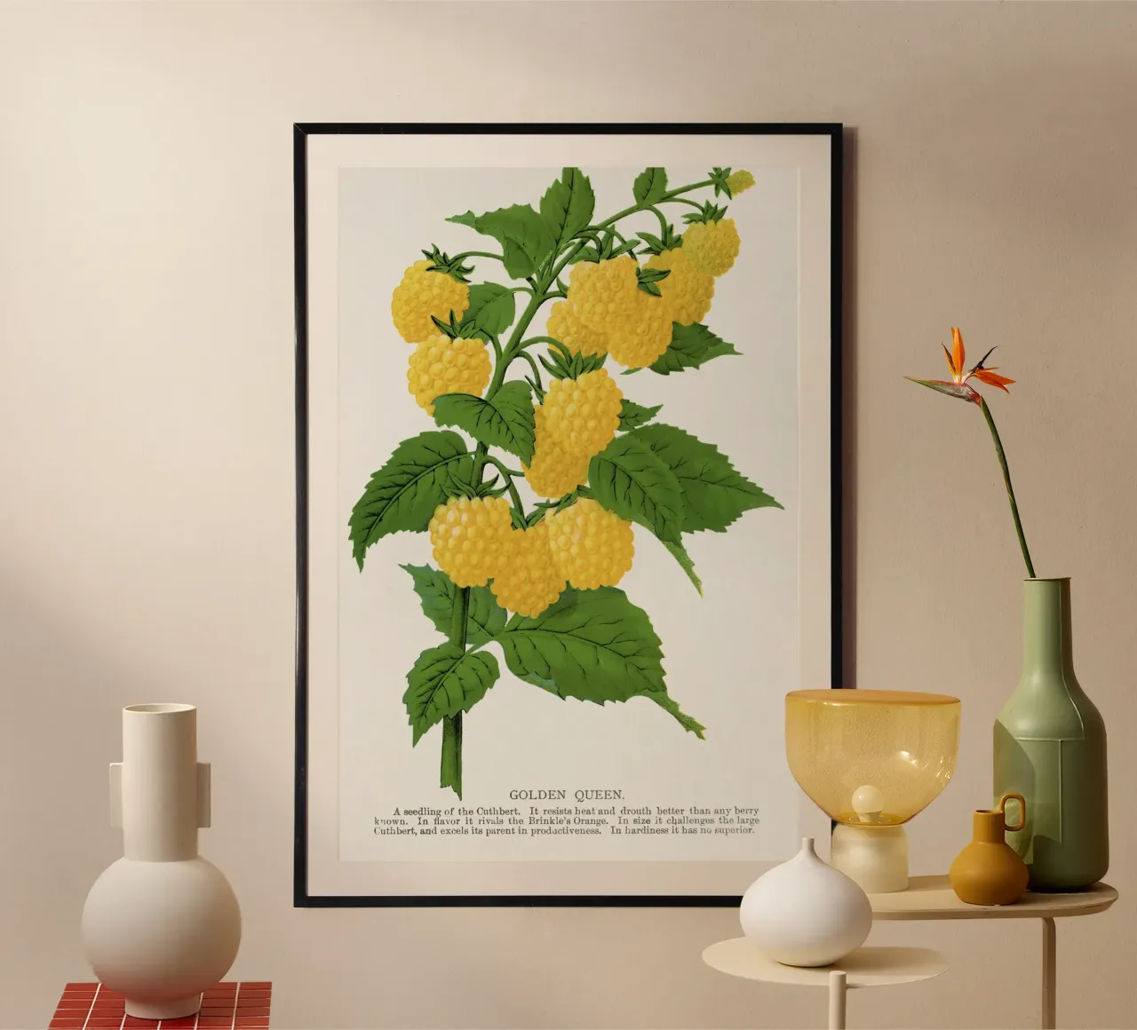 Golden queen raspberry lithograptraduh carta hahnemühle da vintageshop