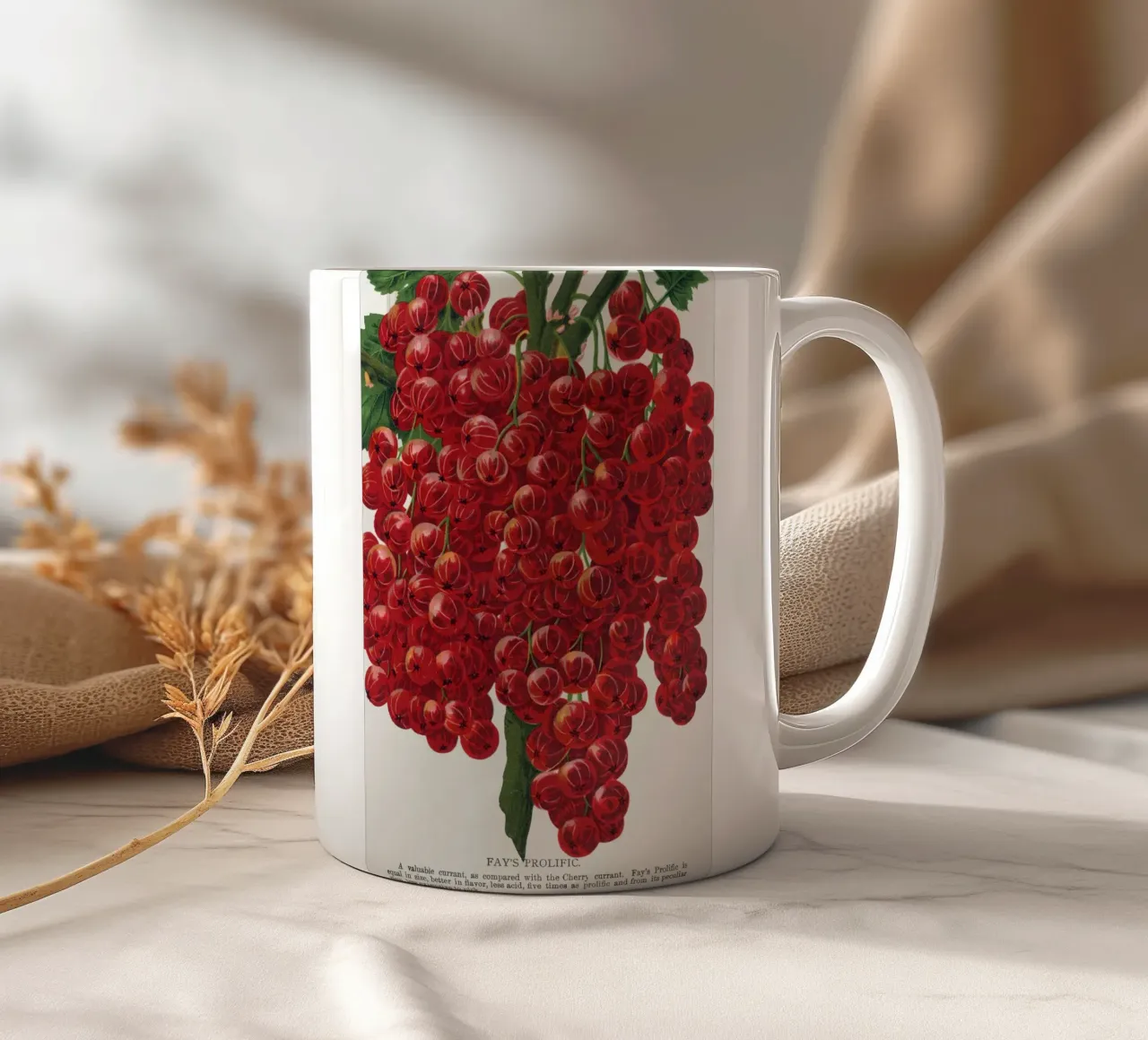 Fay's Prolific Currant tazza in ceramica da vintageshop