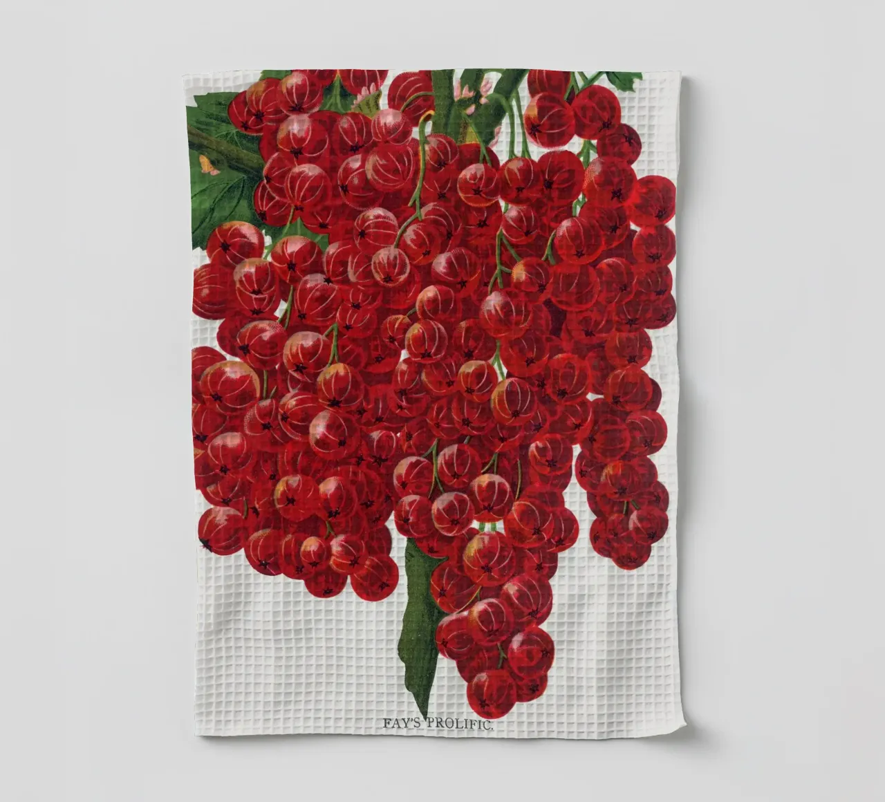 Fay's Prolific Currant canovaccio da cucina da vintageshop