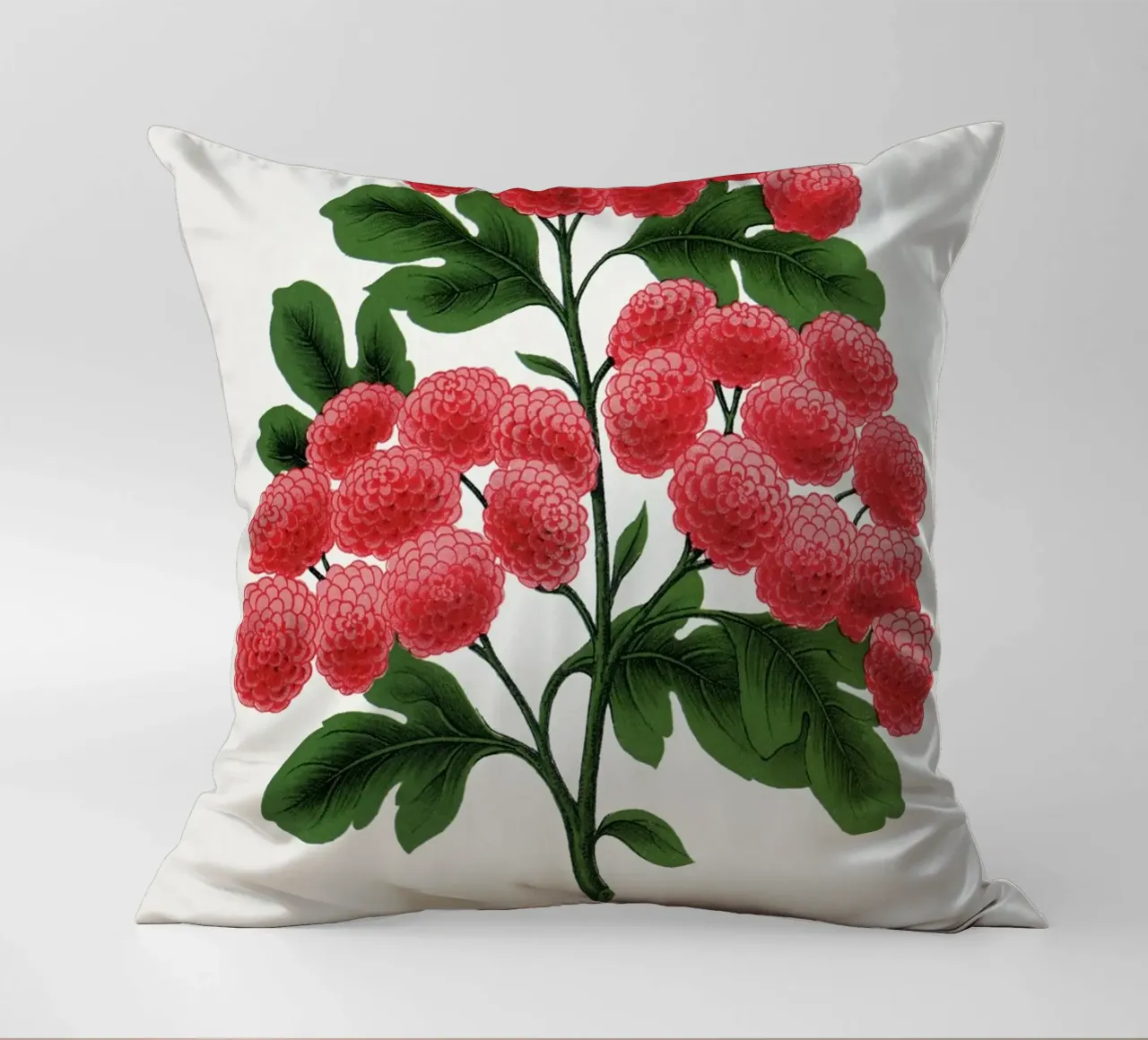 Paul's New Double Flowering Thorn cuscino da vintageshop