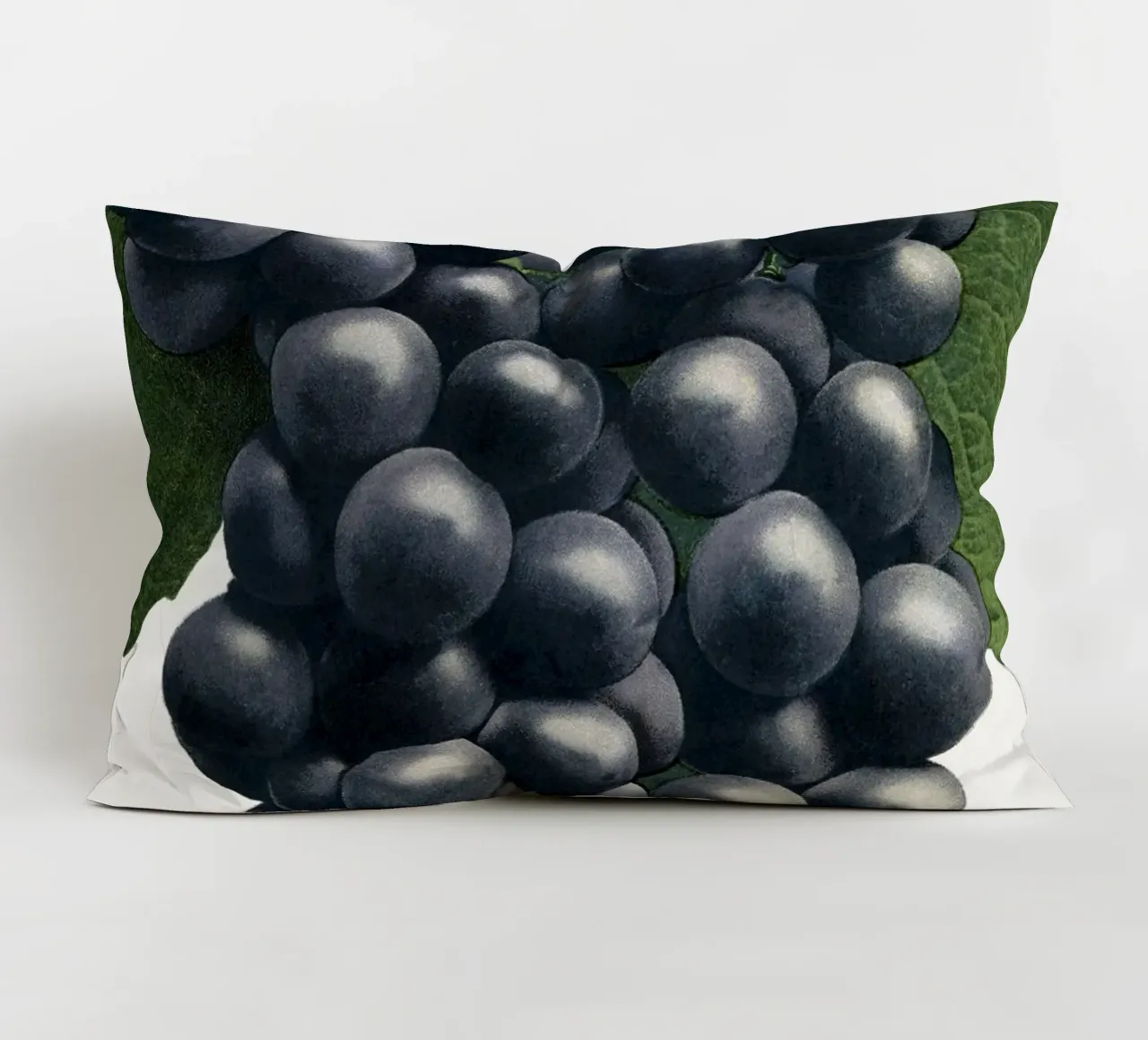 Campbell's Early Grape cuscino da vintageshop