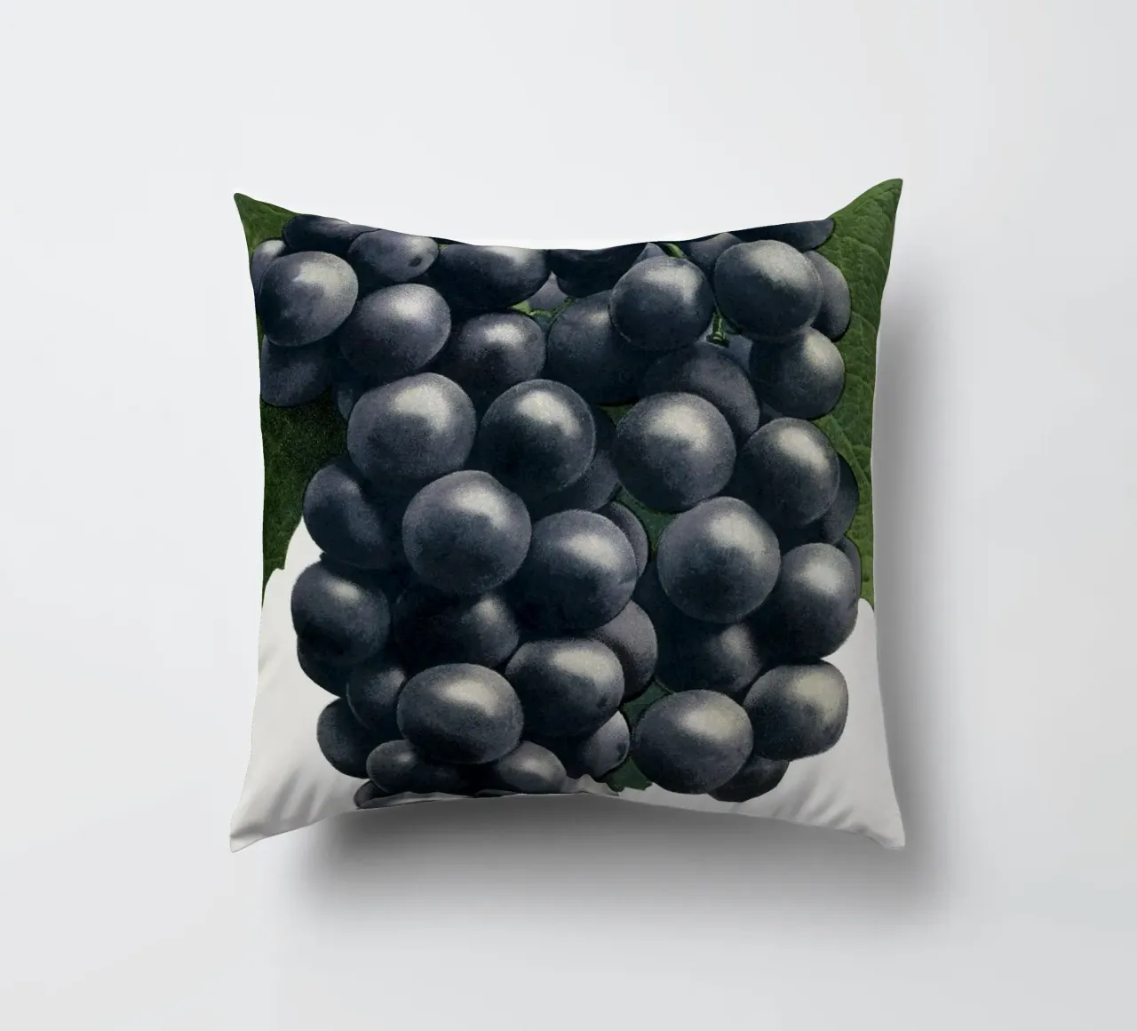 Campbell's Early Grape cuscino da vintageshop