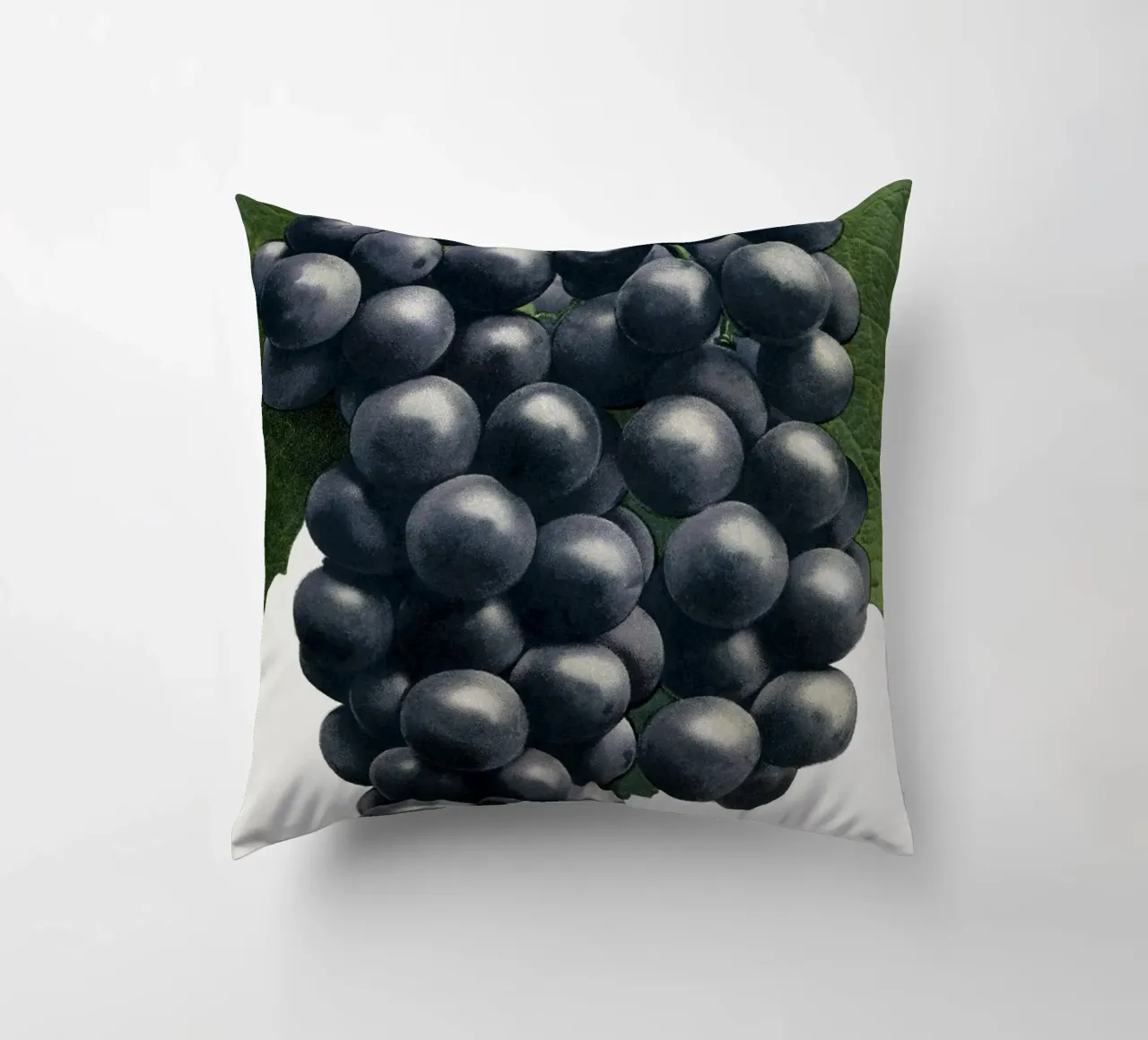 Campbell's Early Grape cuscino da vintageshop