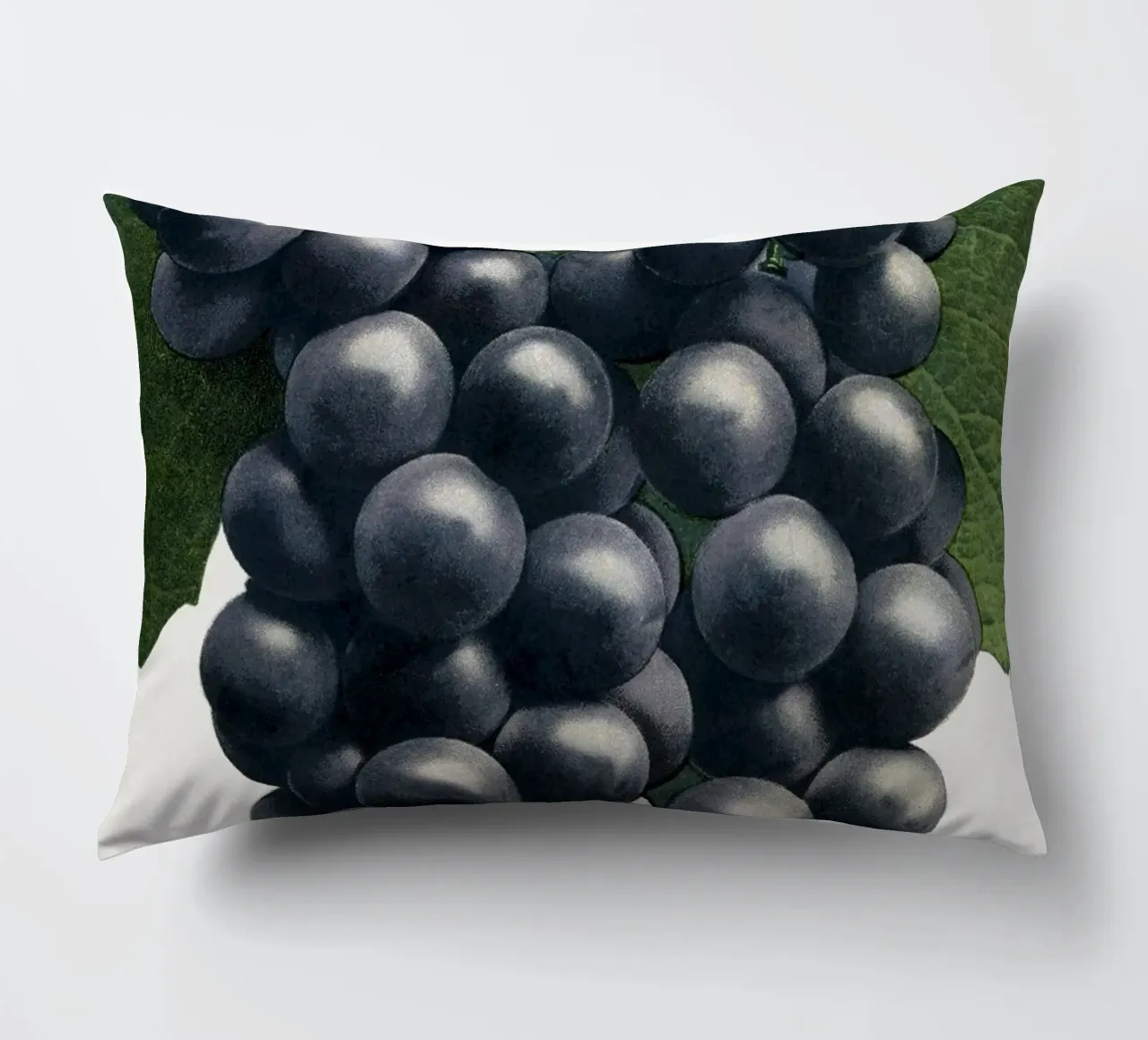 Campbell's Early Grape cuscino da vintageshop