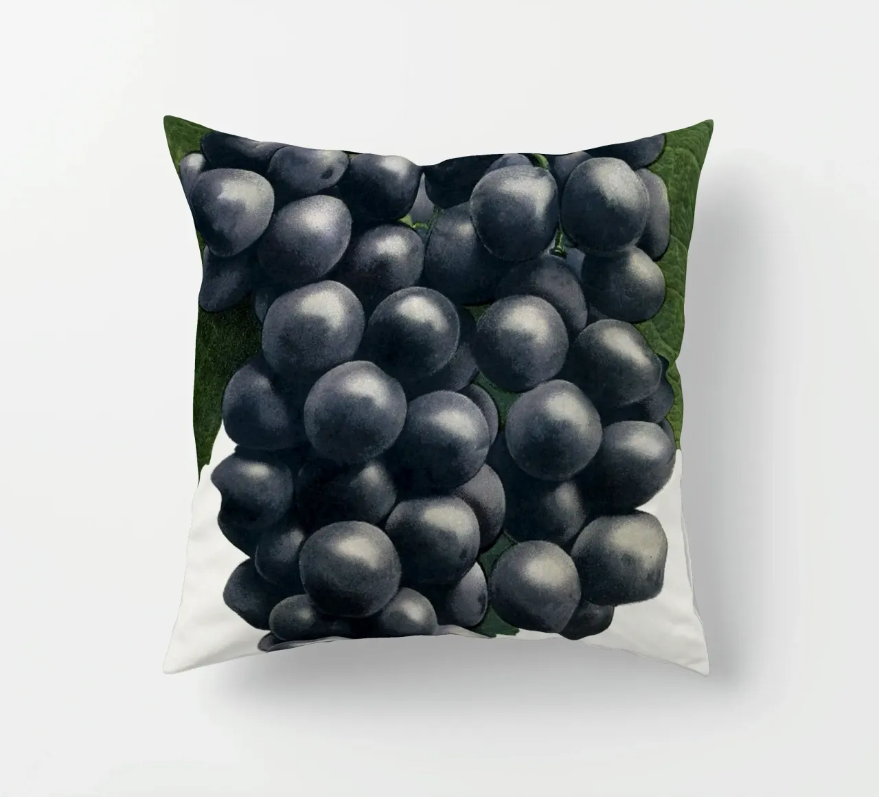 Campbell's Early Grape cuscino da vintageshop