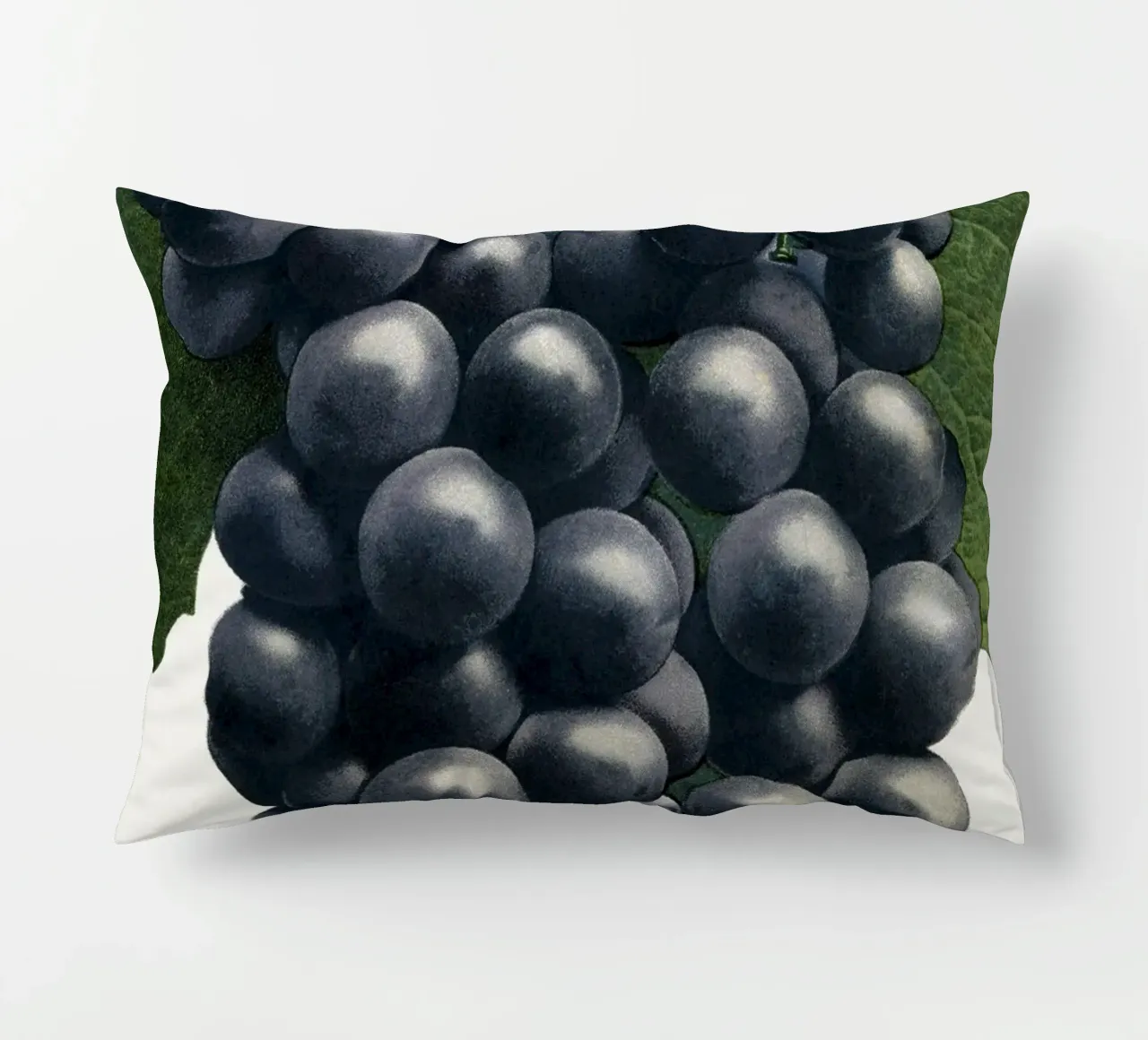 Campbell's Early Grape cuscino da vintageshop