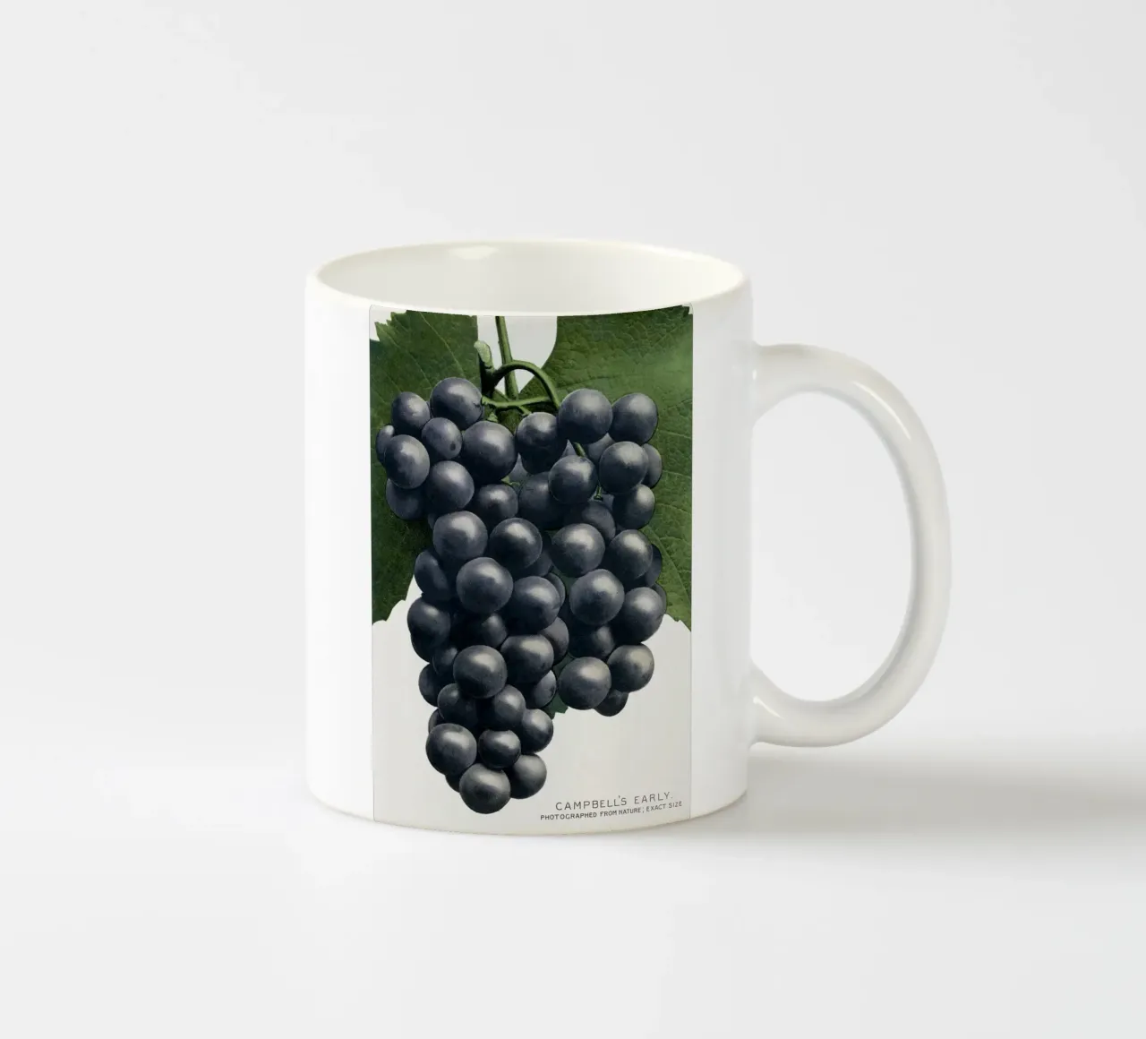 Campbell's Early Grape Keramik Tasse von vintageshop