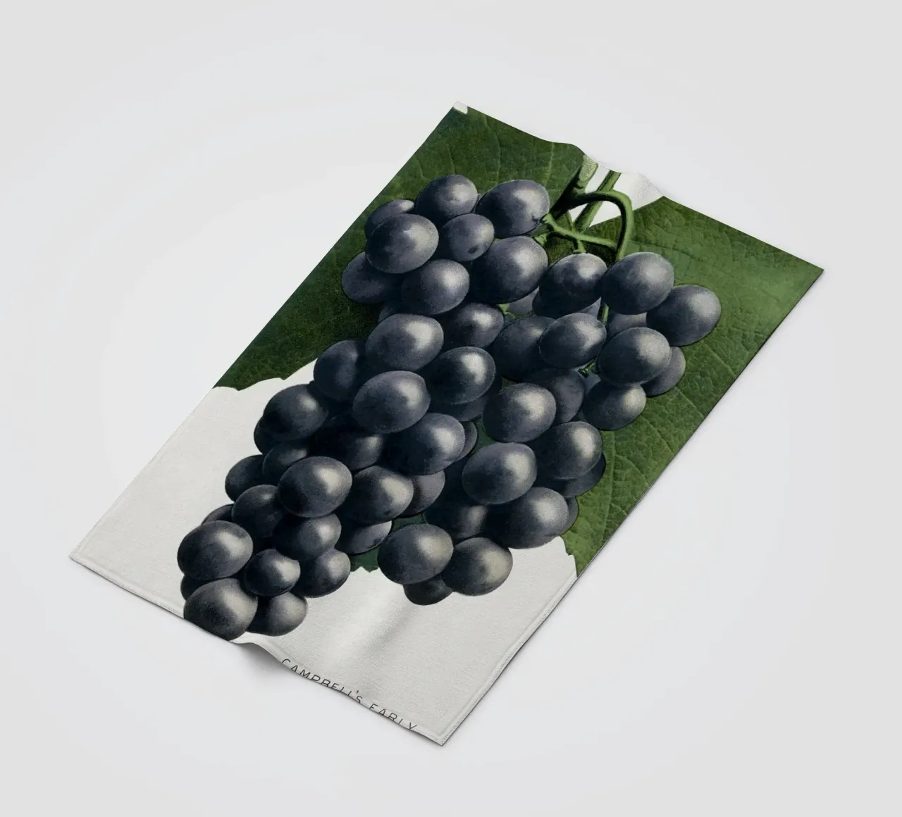 Campbell's Early Grape coperta in pile da vintageshop