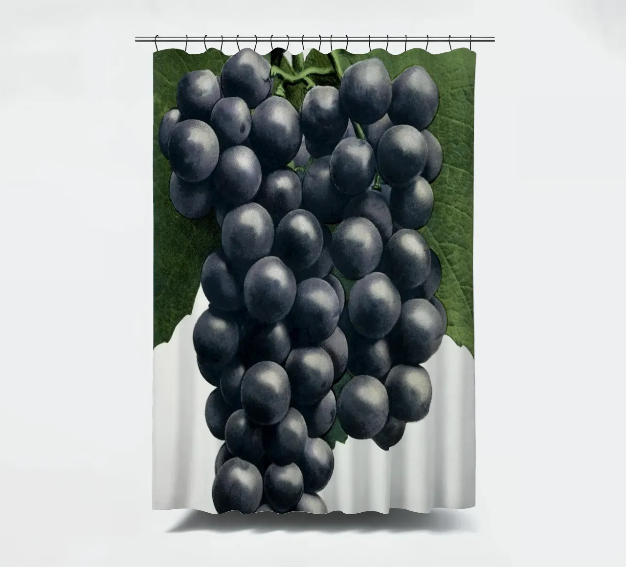 Campbell's Early Grape tenda da doccia da vintageshop