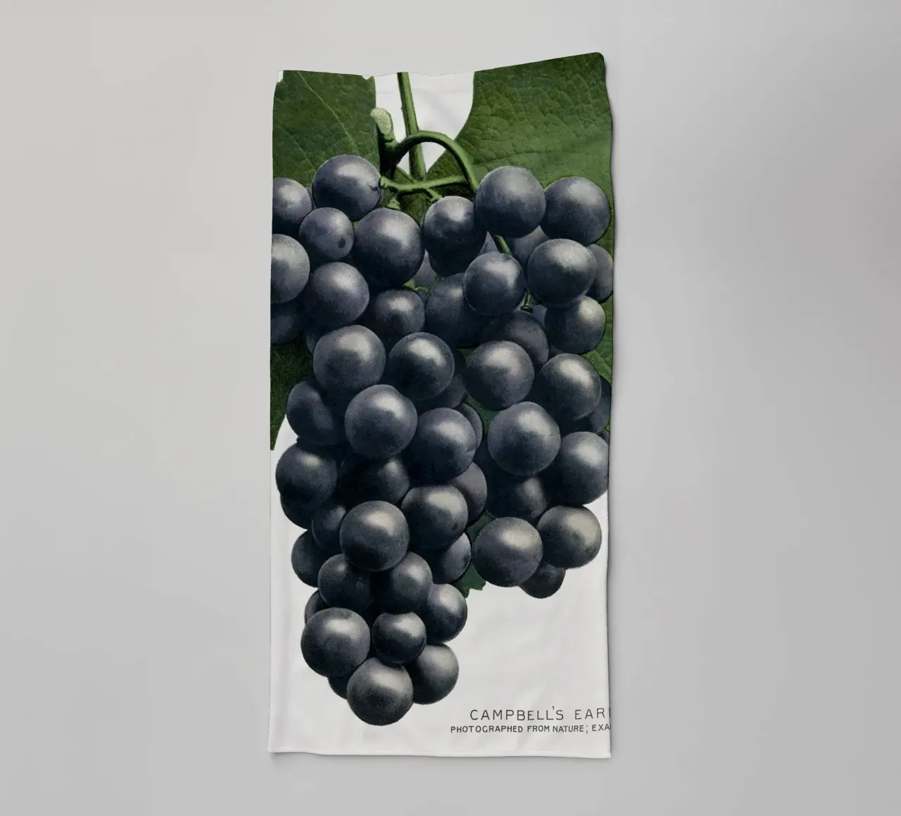 Campbell's Early Grape asciugamano da bagno da vintageshop