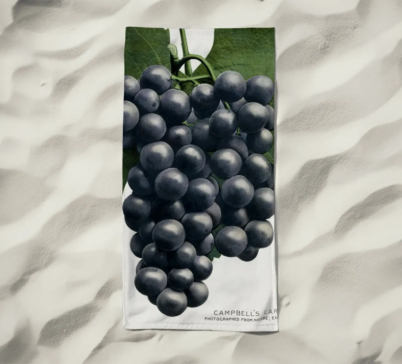 Campbell's Early Grape telo mare da vintageshop