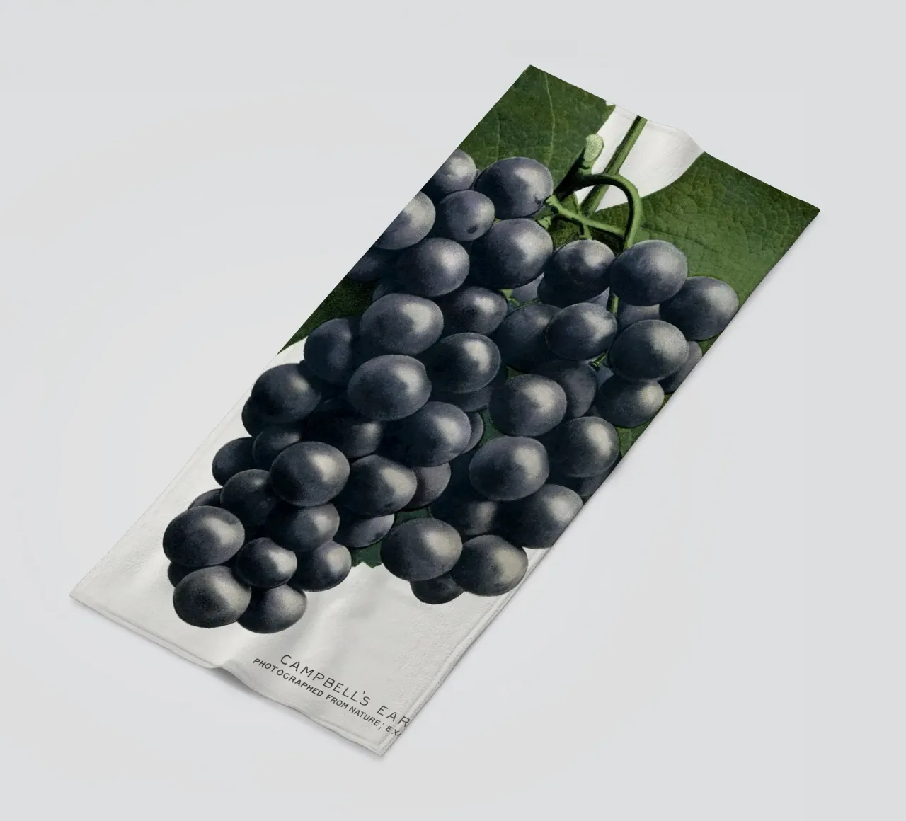 Campbell's Early Grape telo mare da vintageshop