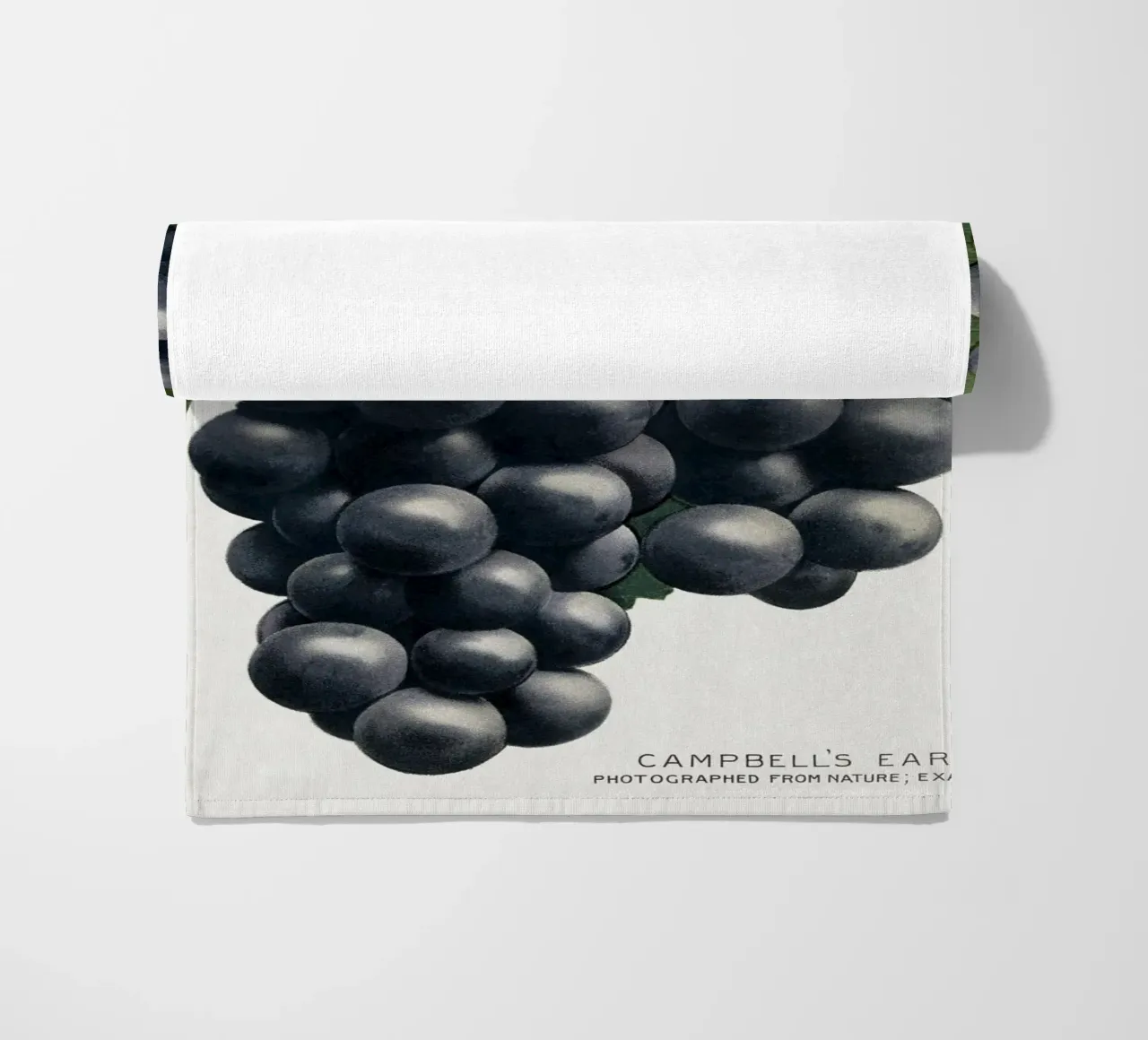 Campbell's Early Grape telo mare da vintageshop