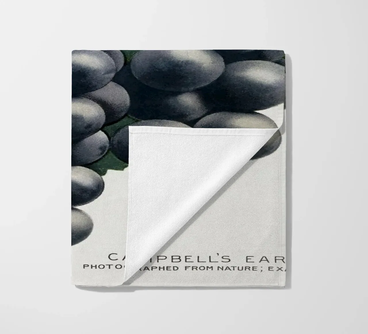 Campbell's Early Grape telo mare da vintageshop