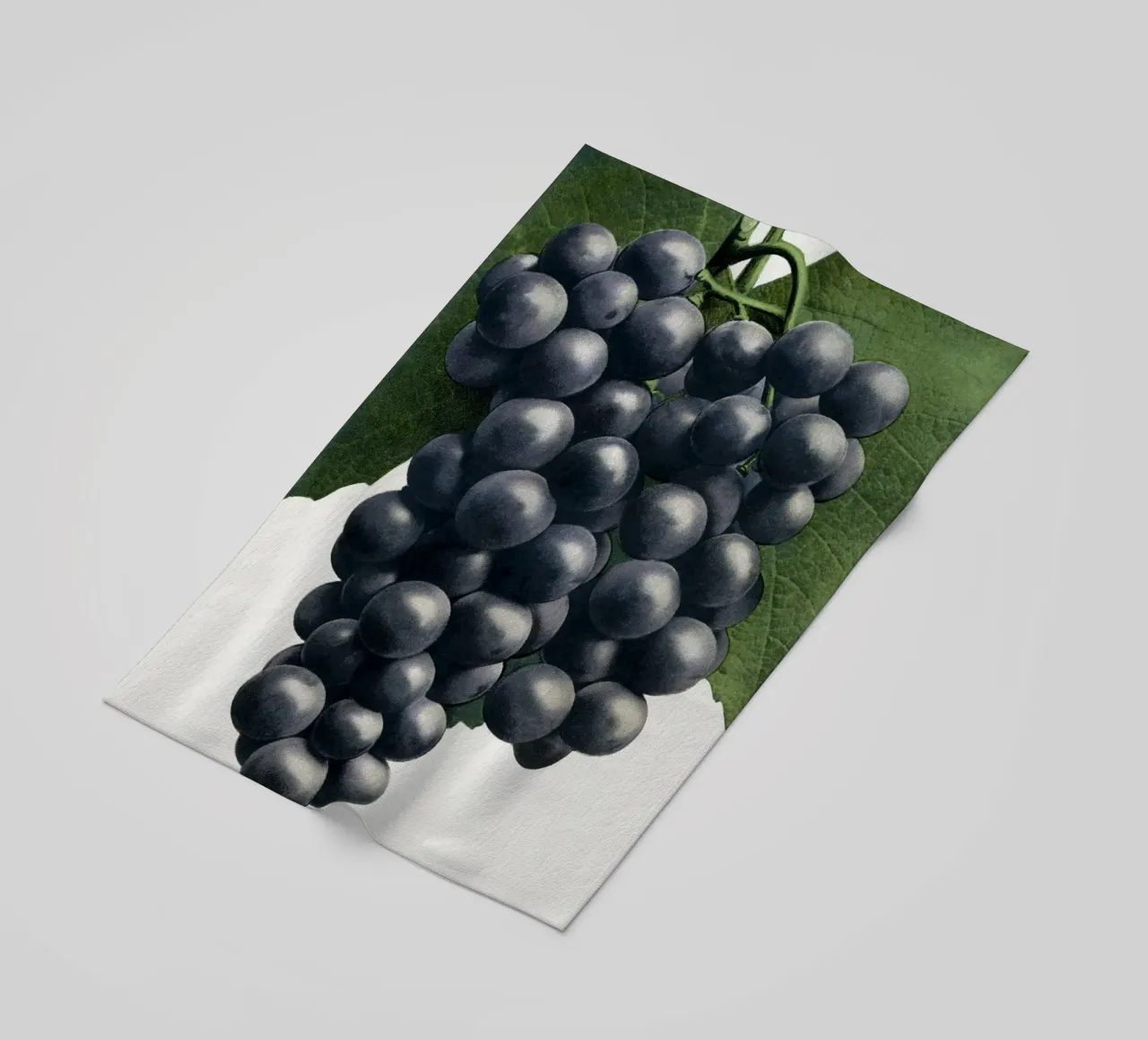 Campbell's Early Grape telo mare da vintageshop