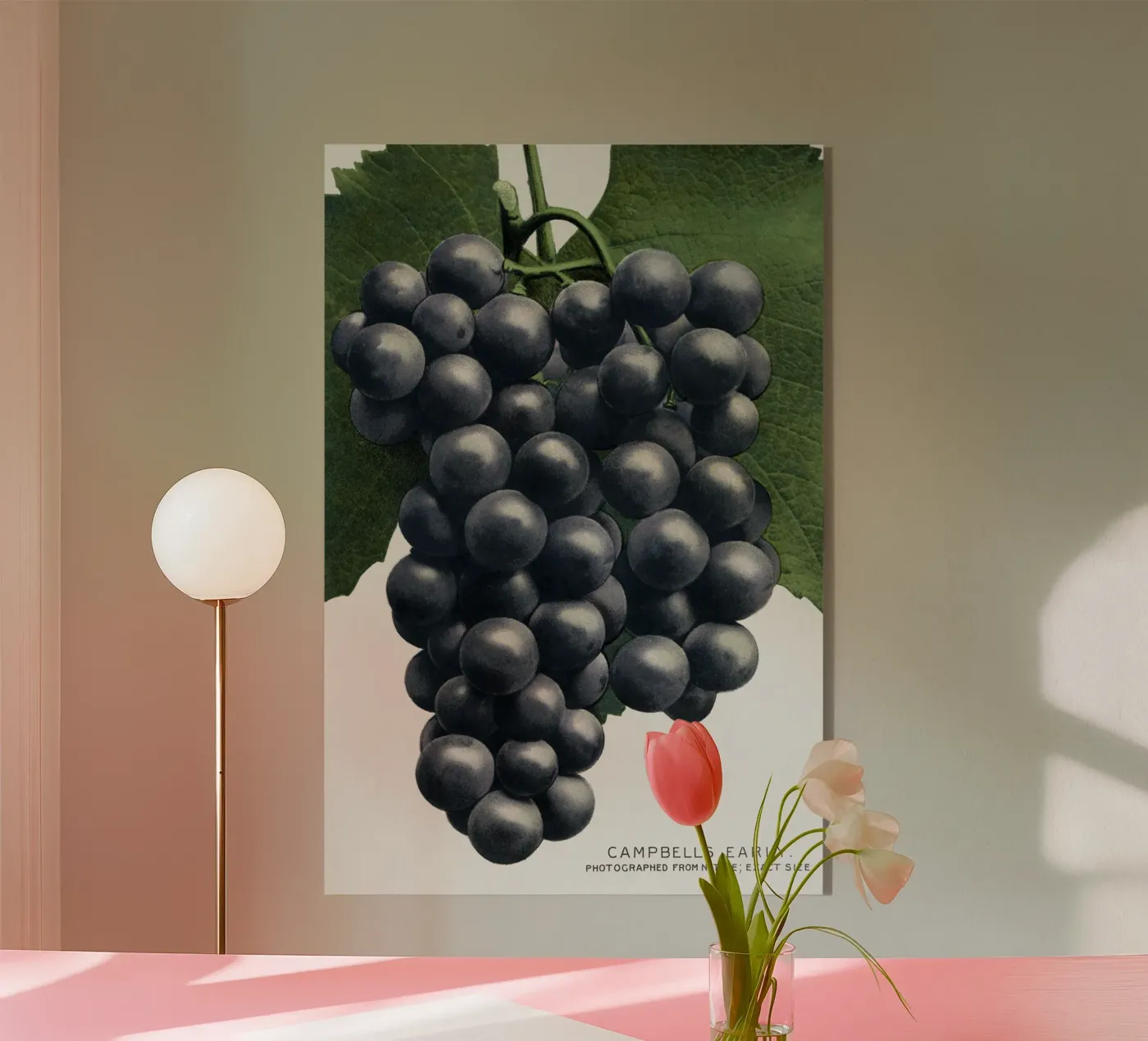 Campbell's Early Grape plexiglass da vintageshop