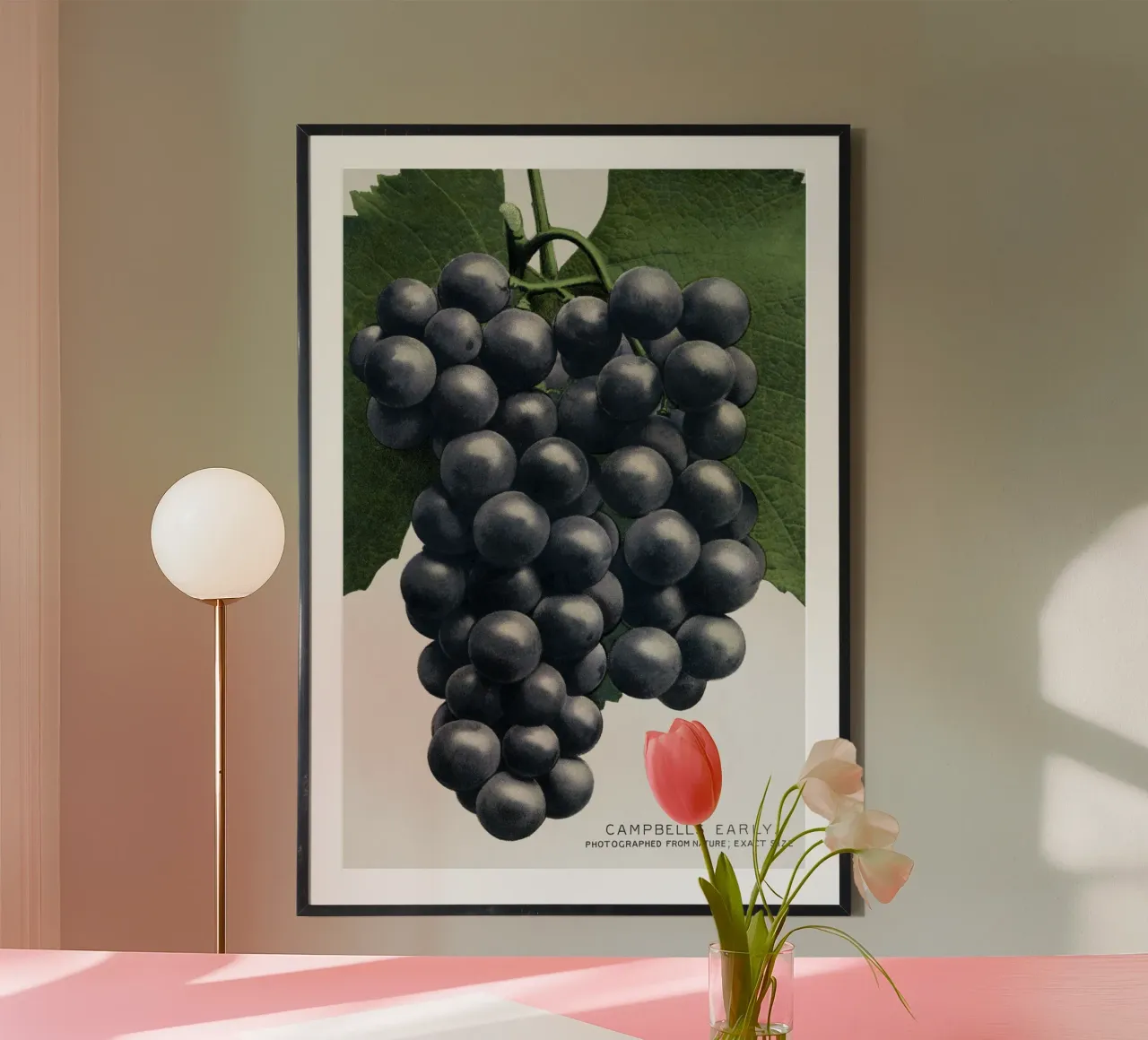 Campbell's Early Grape poster con telaio in plastica da vintageshop