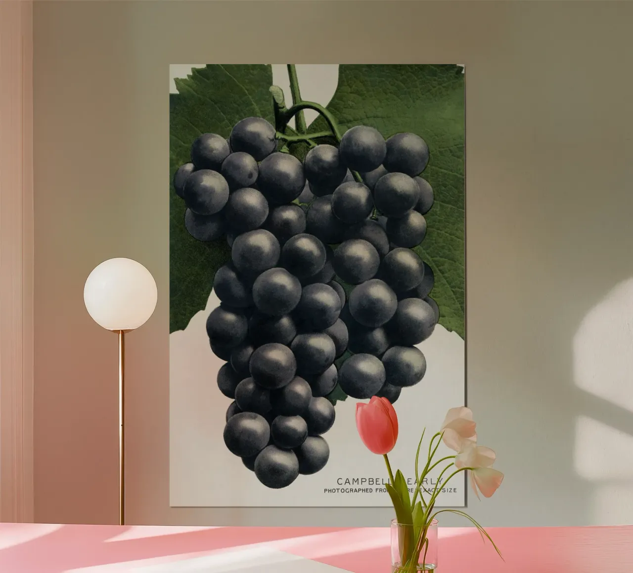 Campbell's Early Grape poster con telaio in plastica da vintageshop