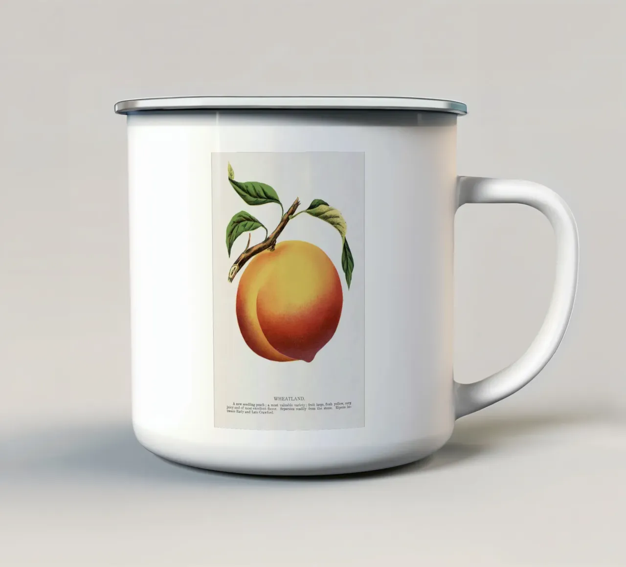 Wheatland peach tazza in smalto da vintageshop