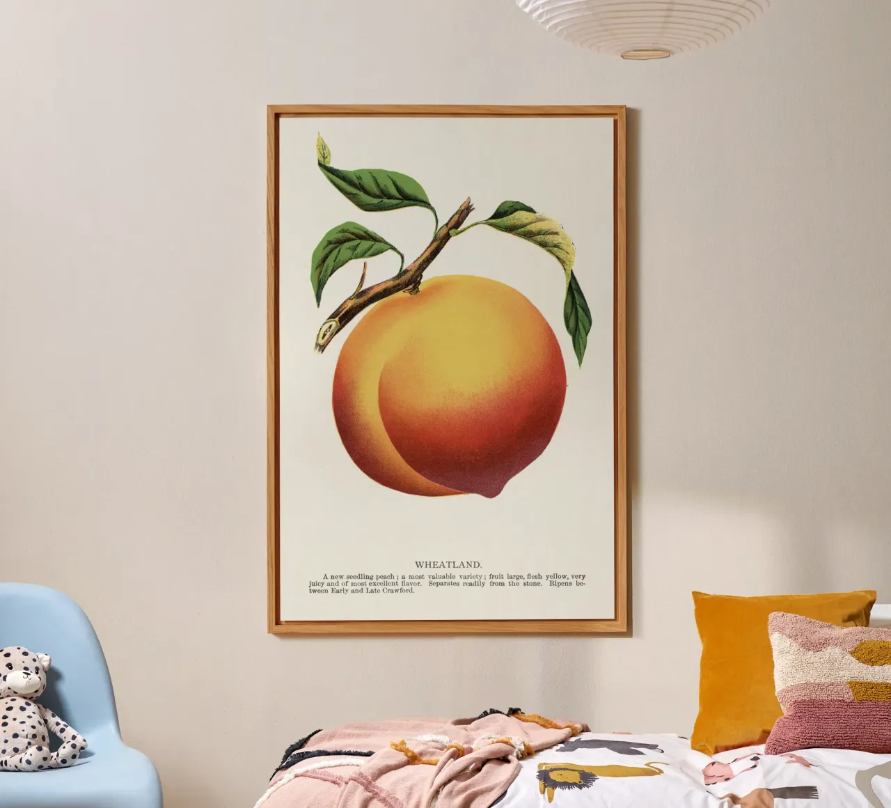 Wheatland peach alu-dibond by vintageshop