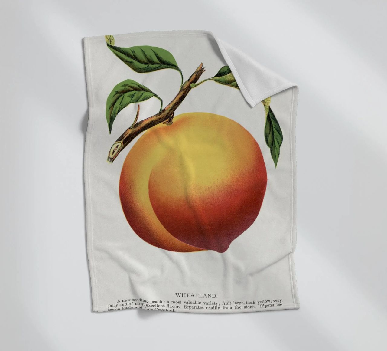 Wheatland peach coperta in pile da vintageshop