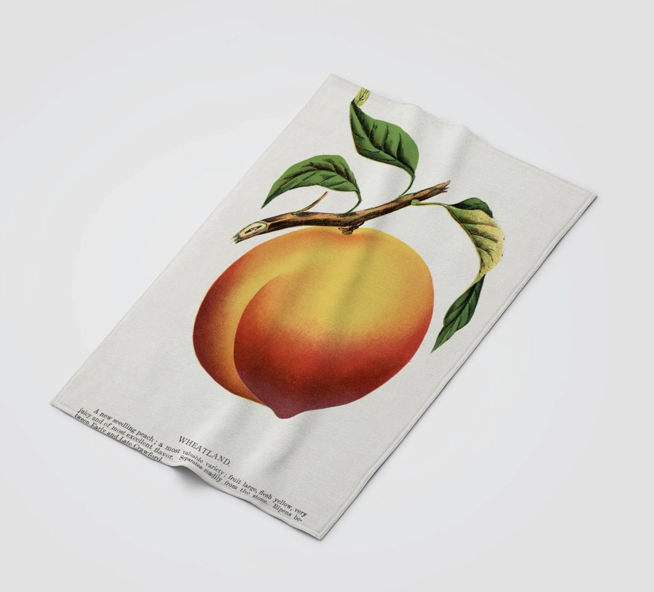 Wheatland peach coperta in pile da vintageshop