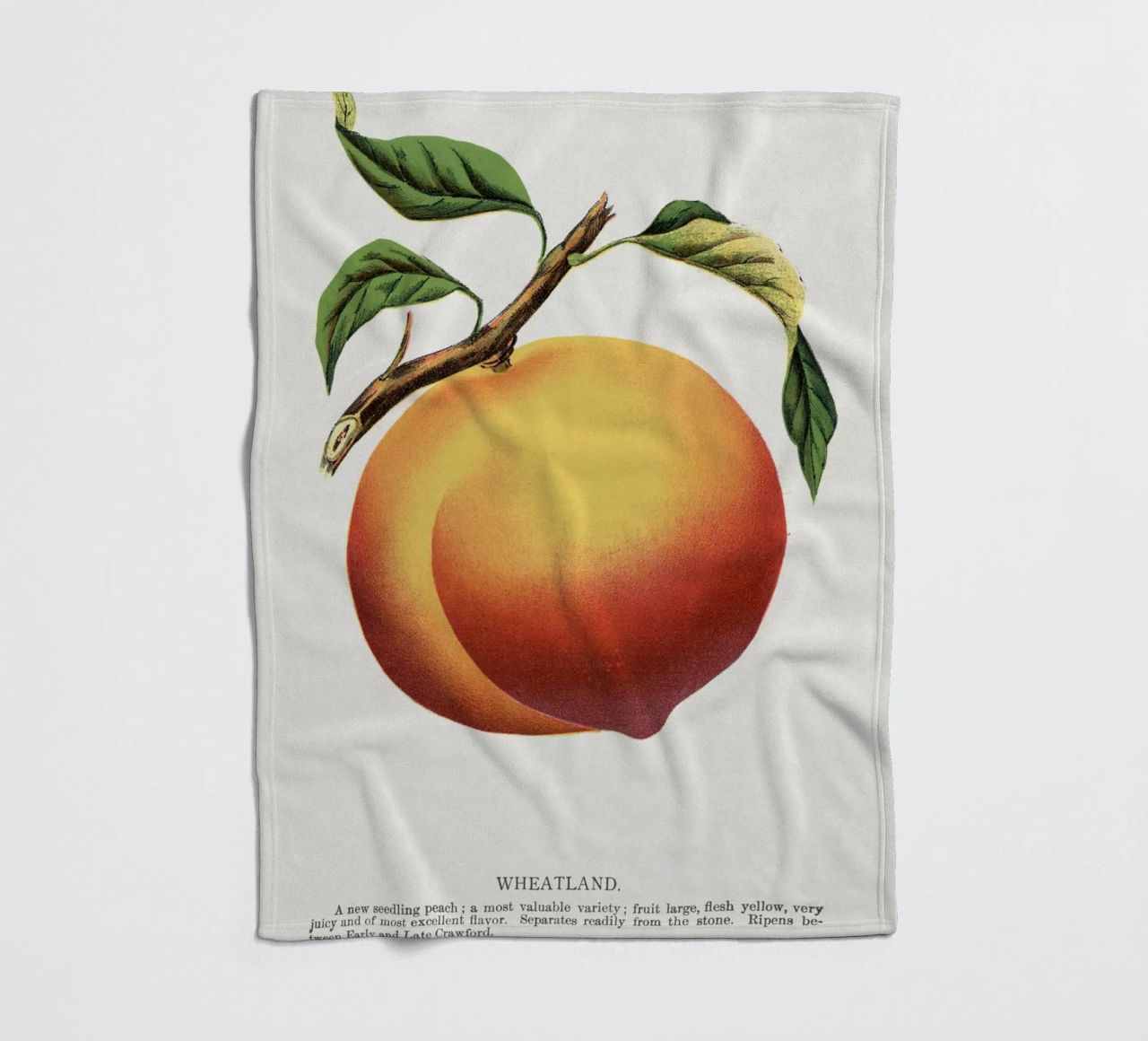Wheatland peach coperta in pile da vintageshop