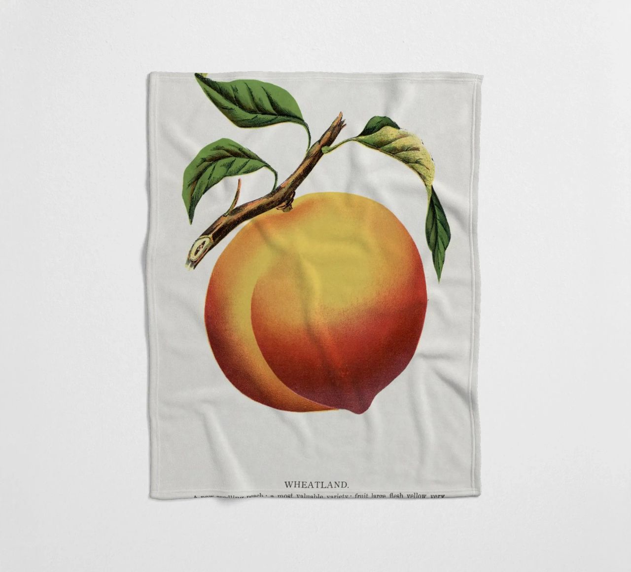 Wheatland peach coperta in pile da vintageshop