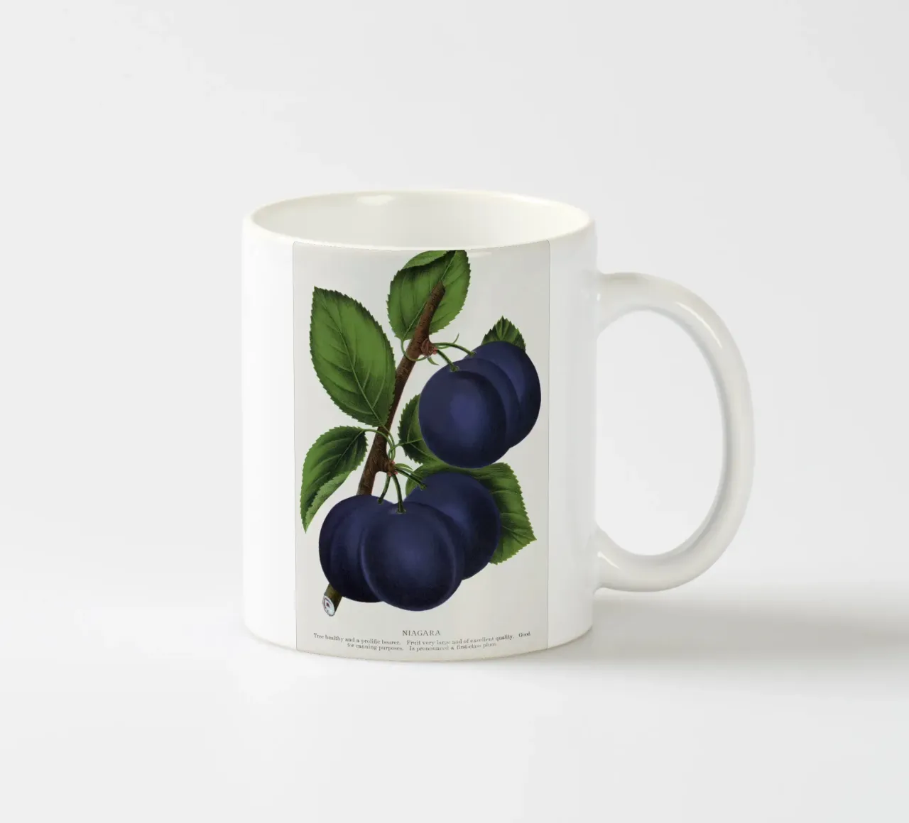Niagara plum tazza in ceramica da vintageshop