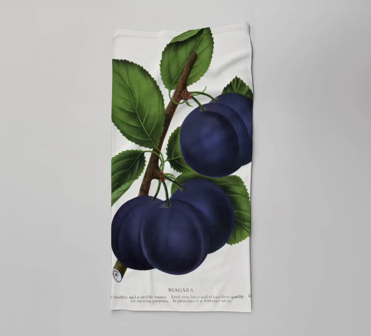 Niagara plum asciugamano da bagno da vintageshop