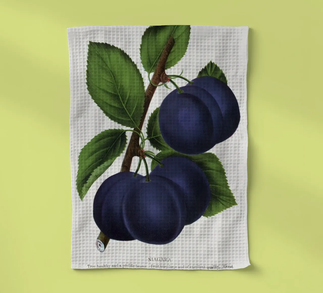 Niagara plum canovaccio da cucina da vintageshop