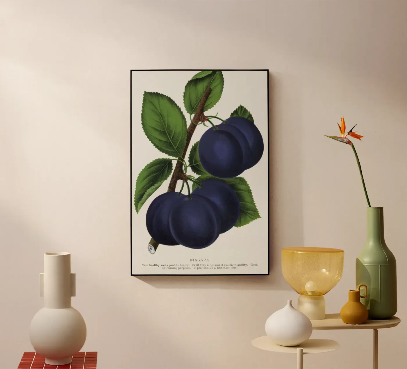 Niagara plum plexiglass da vintageshop