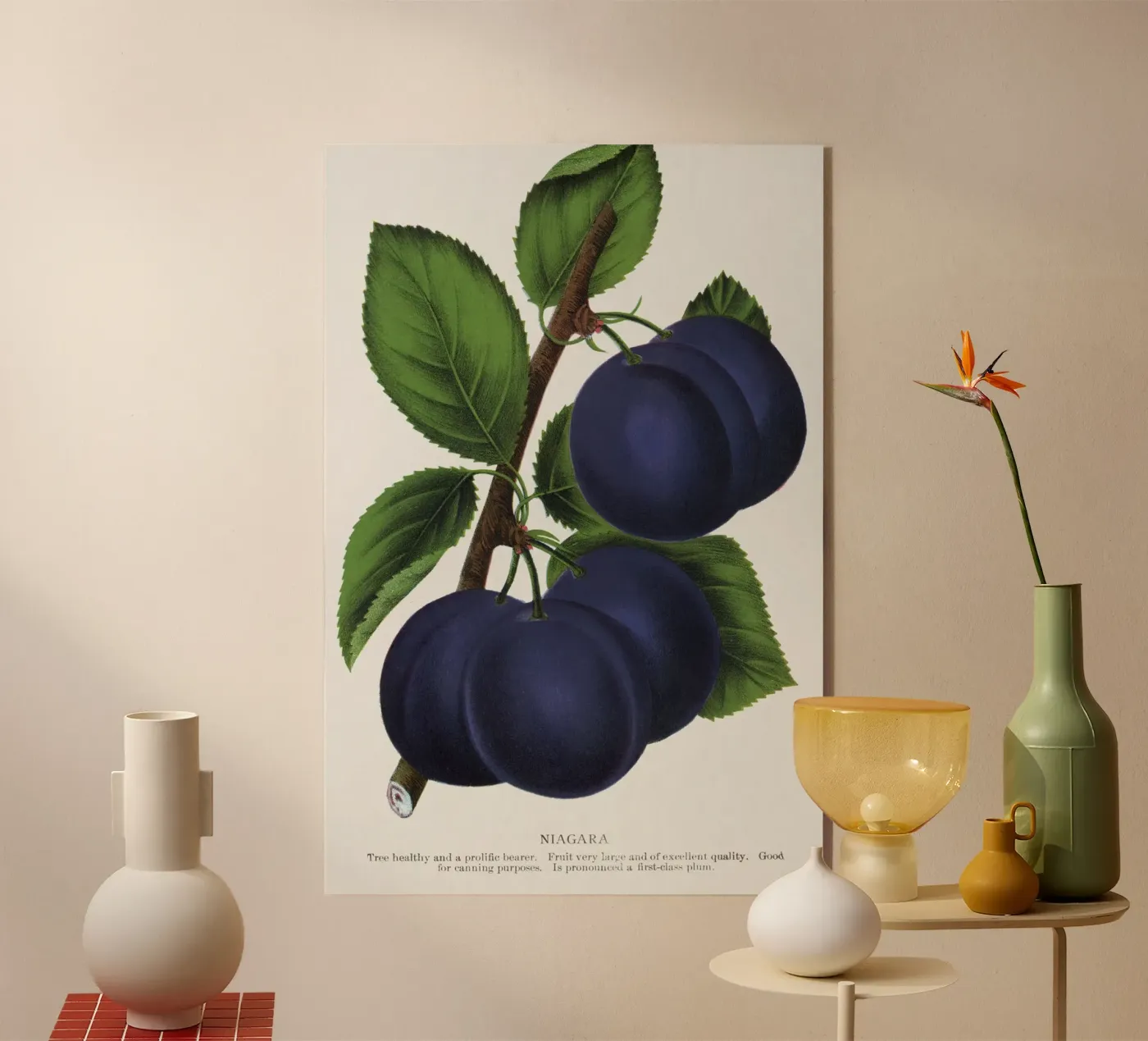 Niagara plum plexiglass da vintageshop